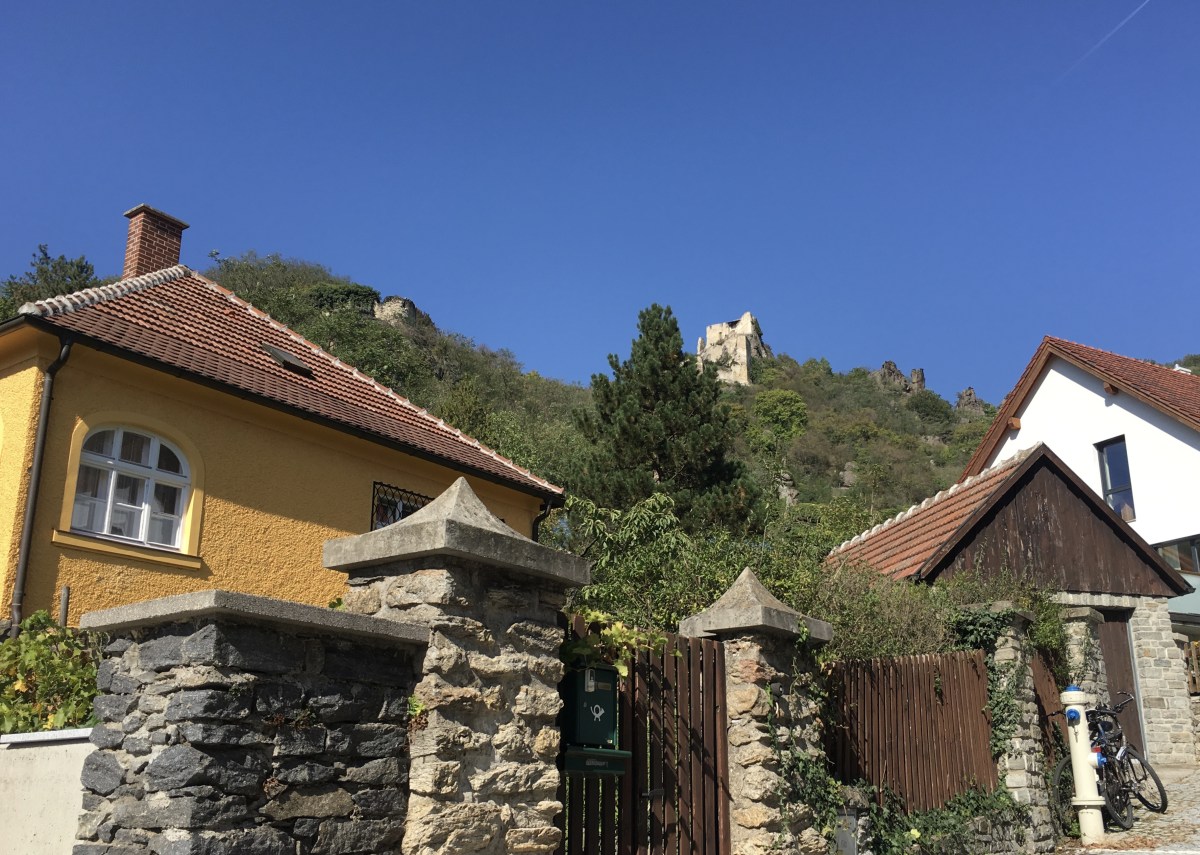 fullsizeoutput_13305