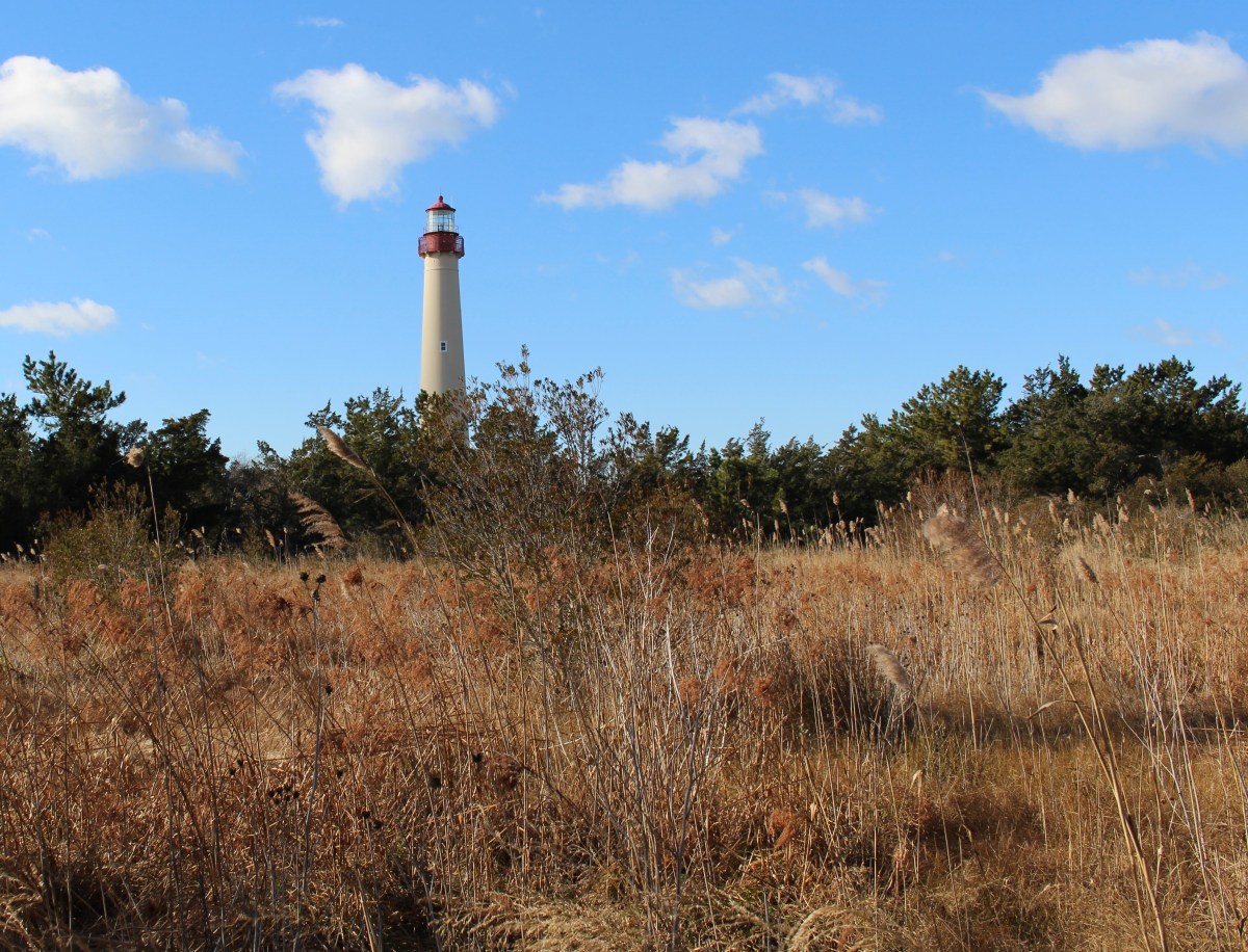 fullsizeoutput_1333d