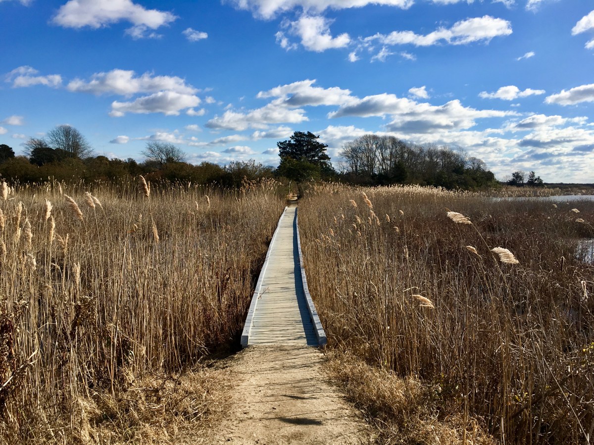 fullsizeoutput_13355