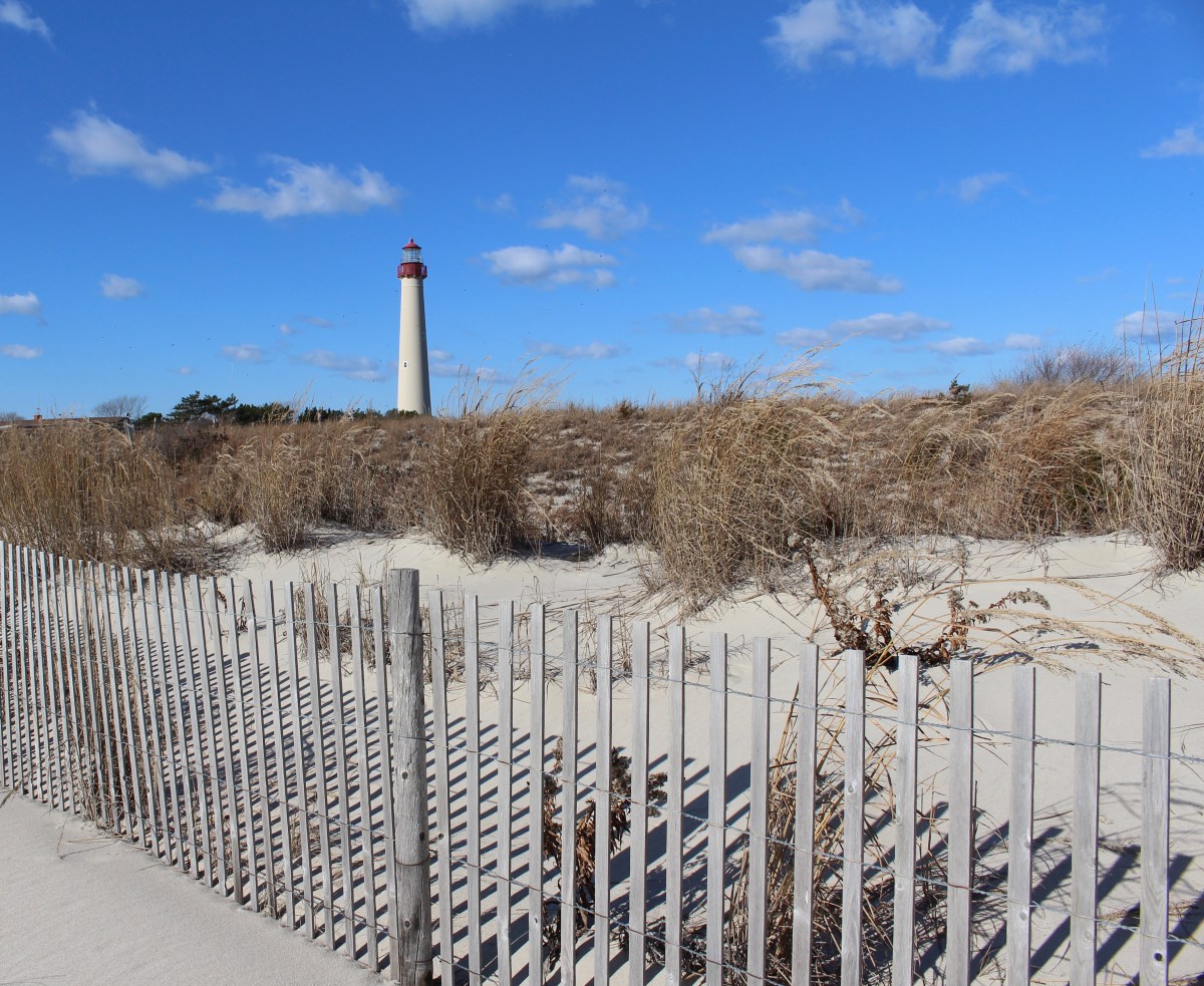 fullsizeoutput_13393