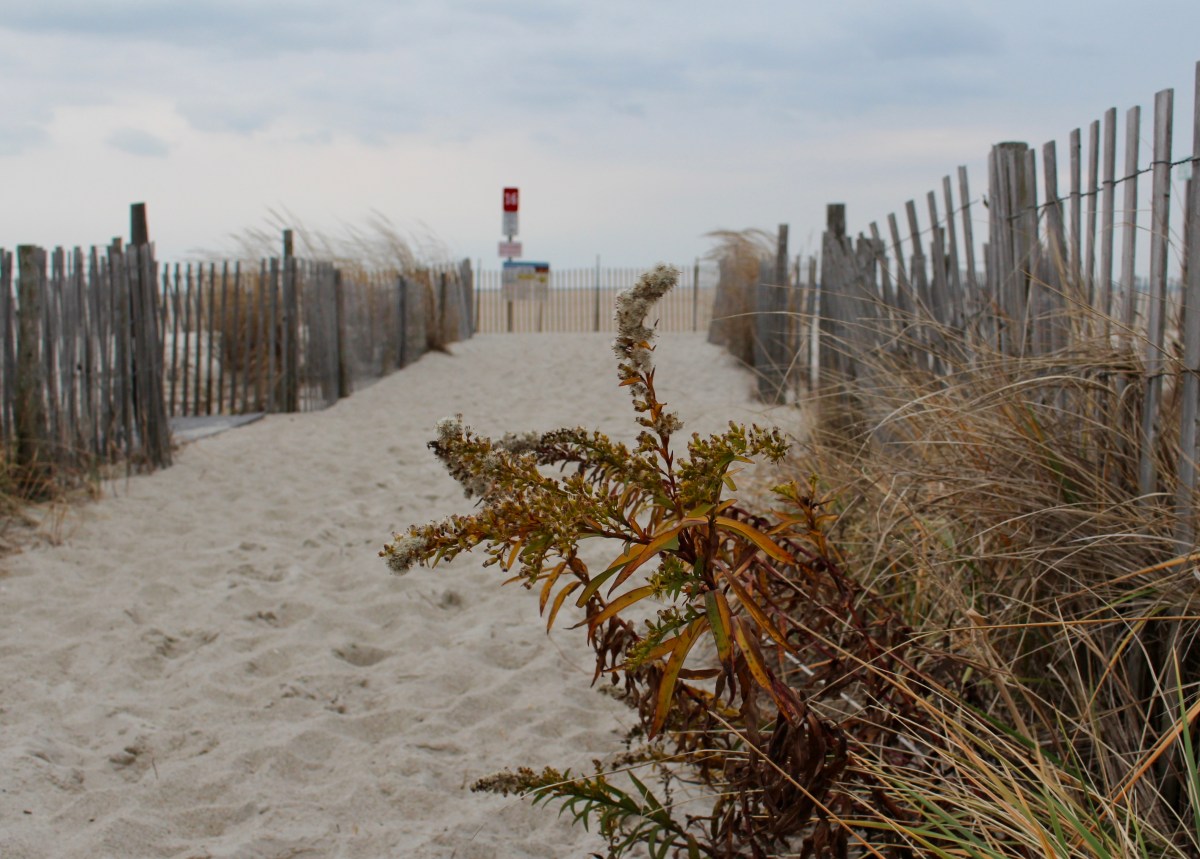 fullsizeoutput_13230