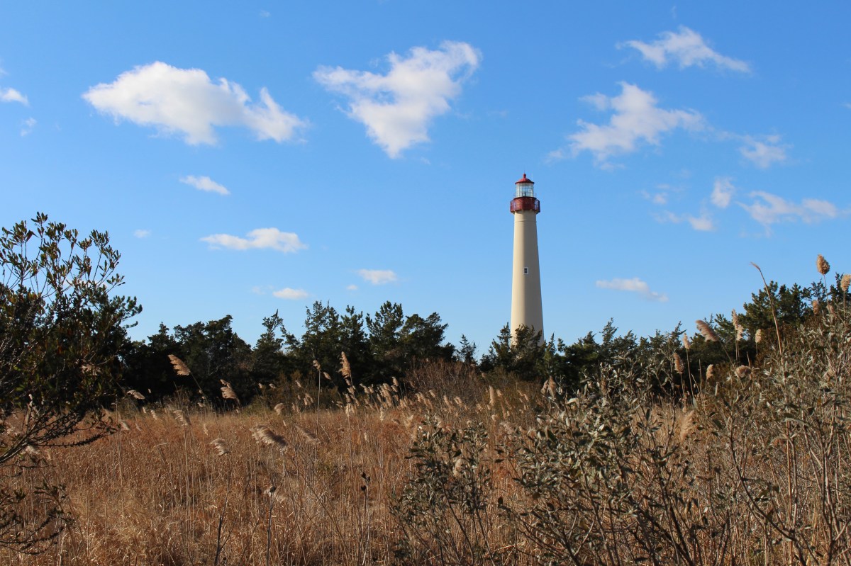 fullsizeoutput_13340