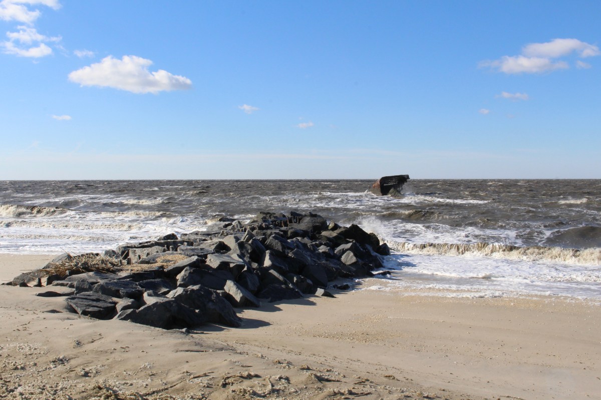 fullsizeoutput_1339f