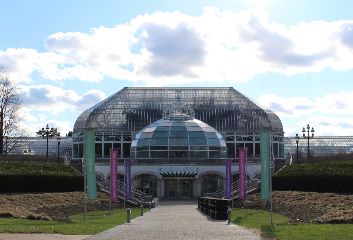 fullsizeoutput_14674