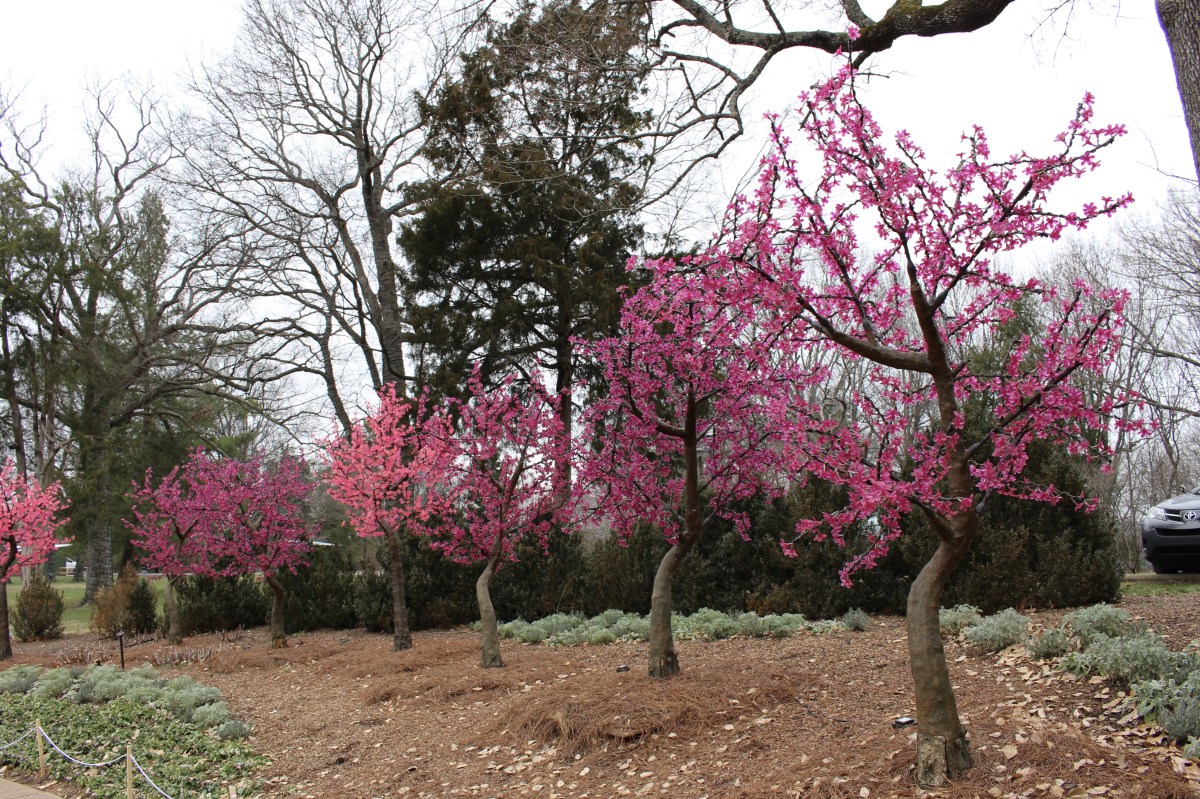 fullsizeoutput_144e9