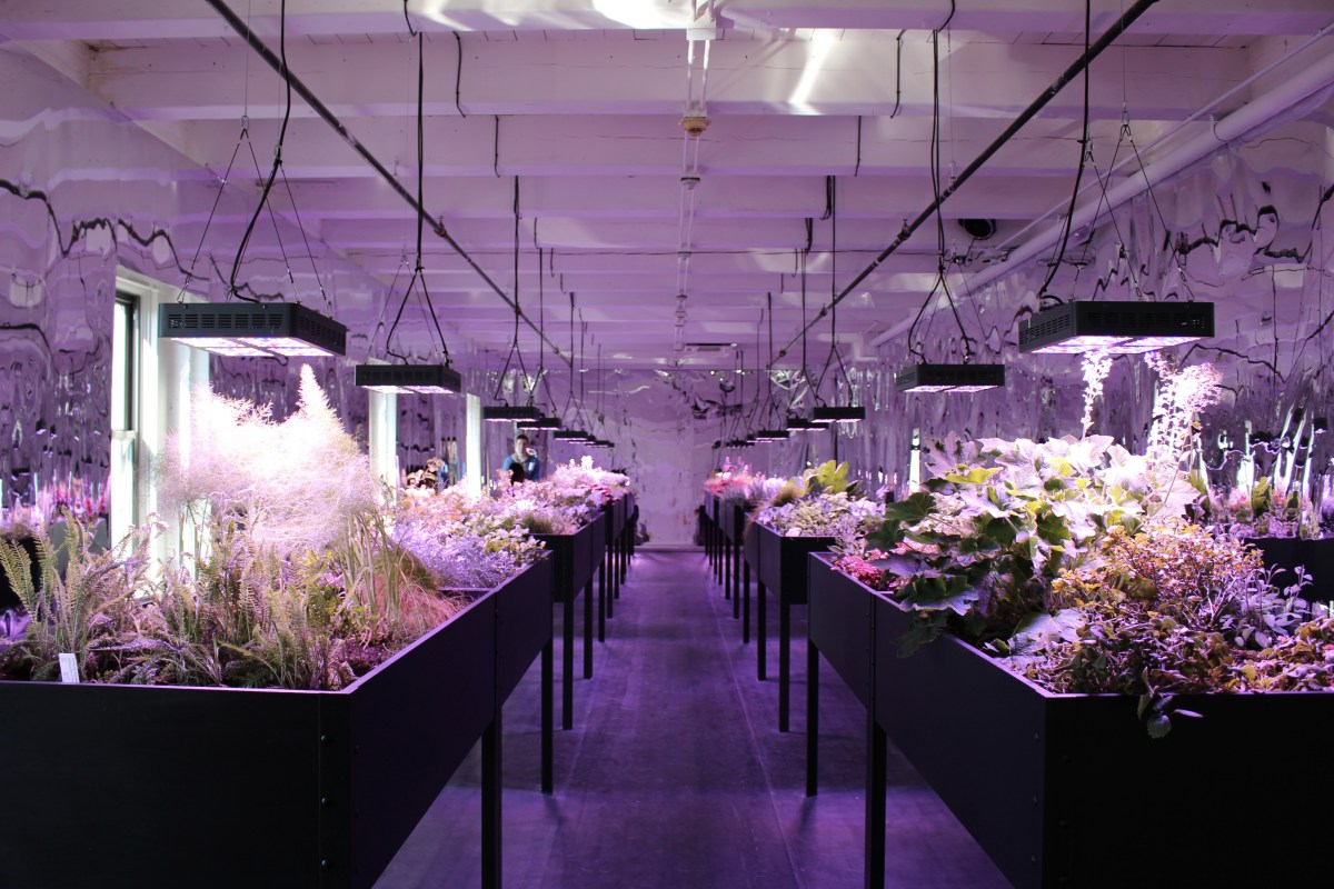 fullsizeoutput_1491a