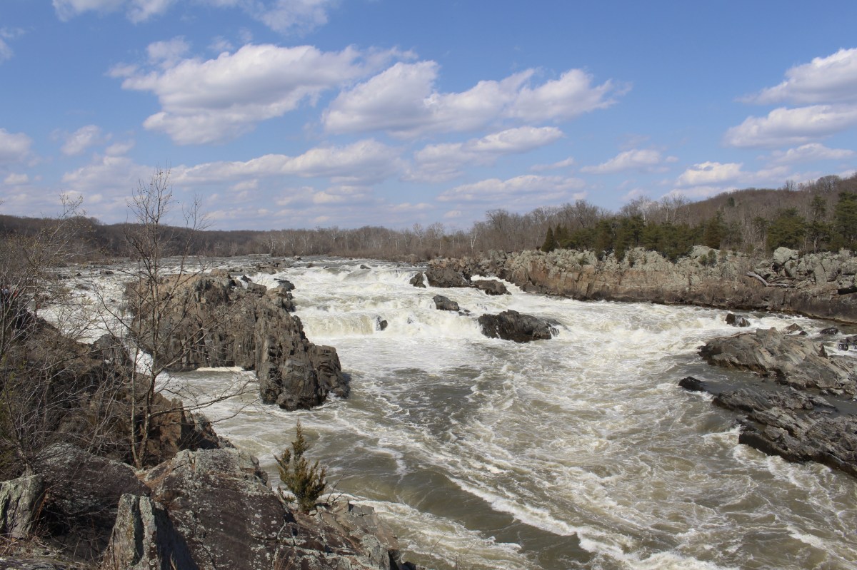 fullsizeoutput_14975