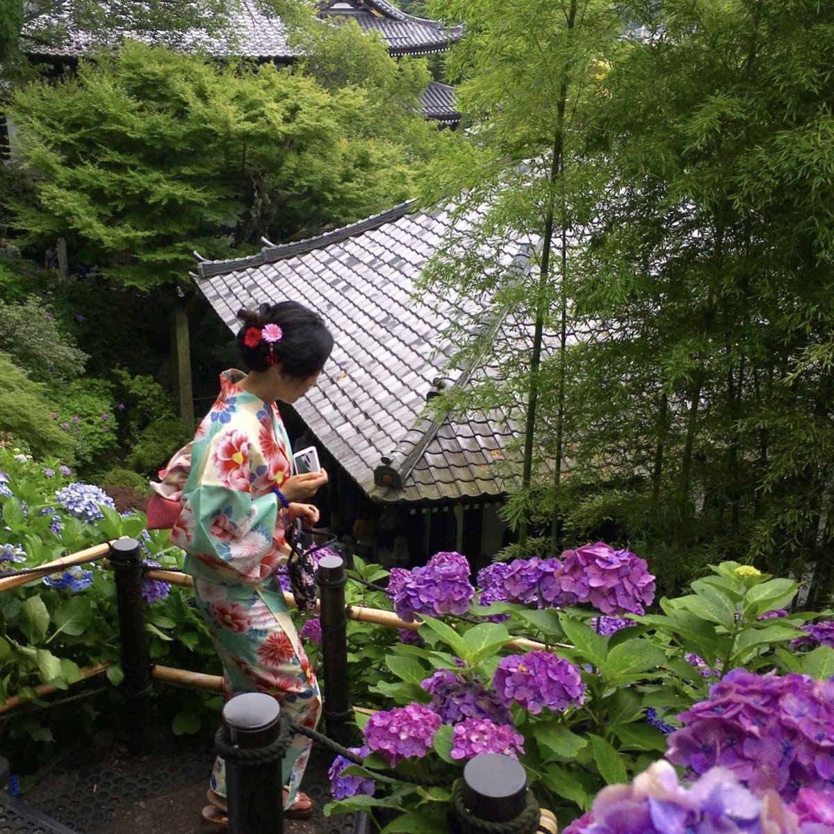 fullsizeoutput_14bce