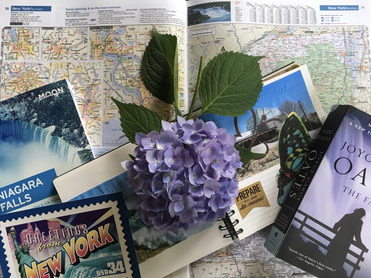 fullsizeoutput_15088