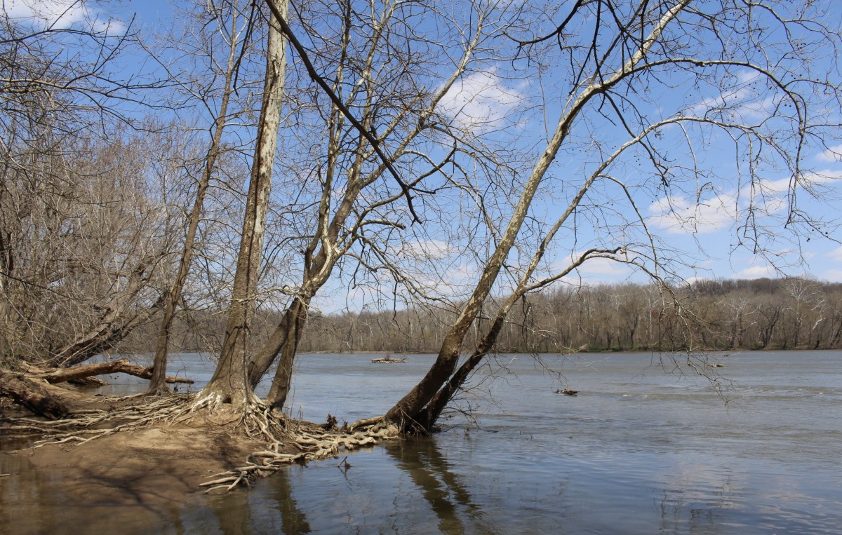 fullsizeoutput_1494d