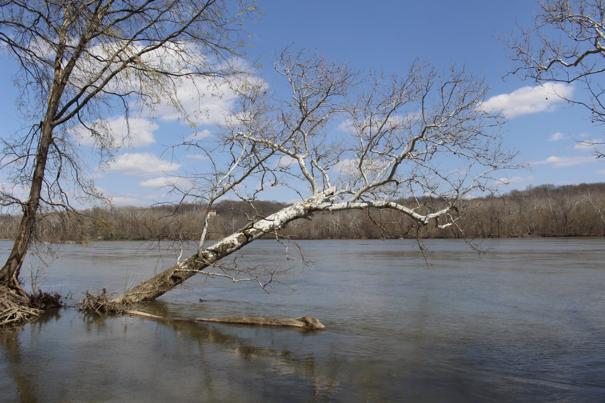 fullsizeoutput_14960