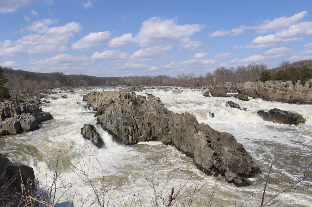 fullsizeoutput_1496e