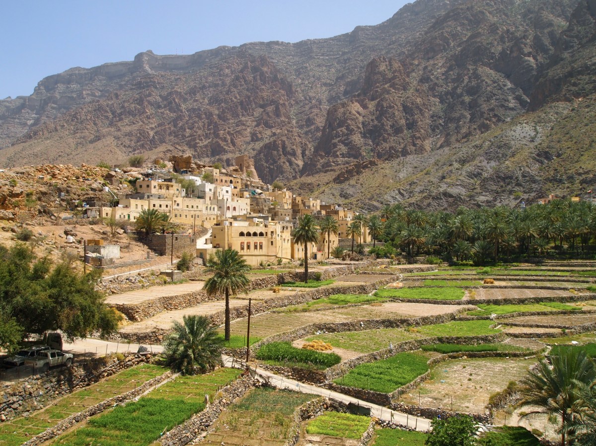 fullsizeoutput_158dd