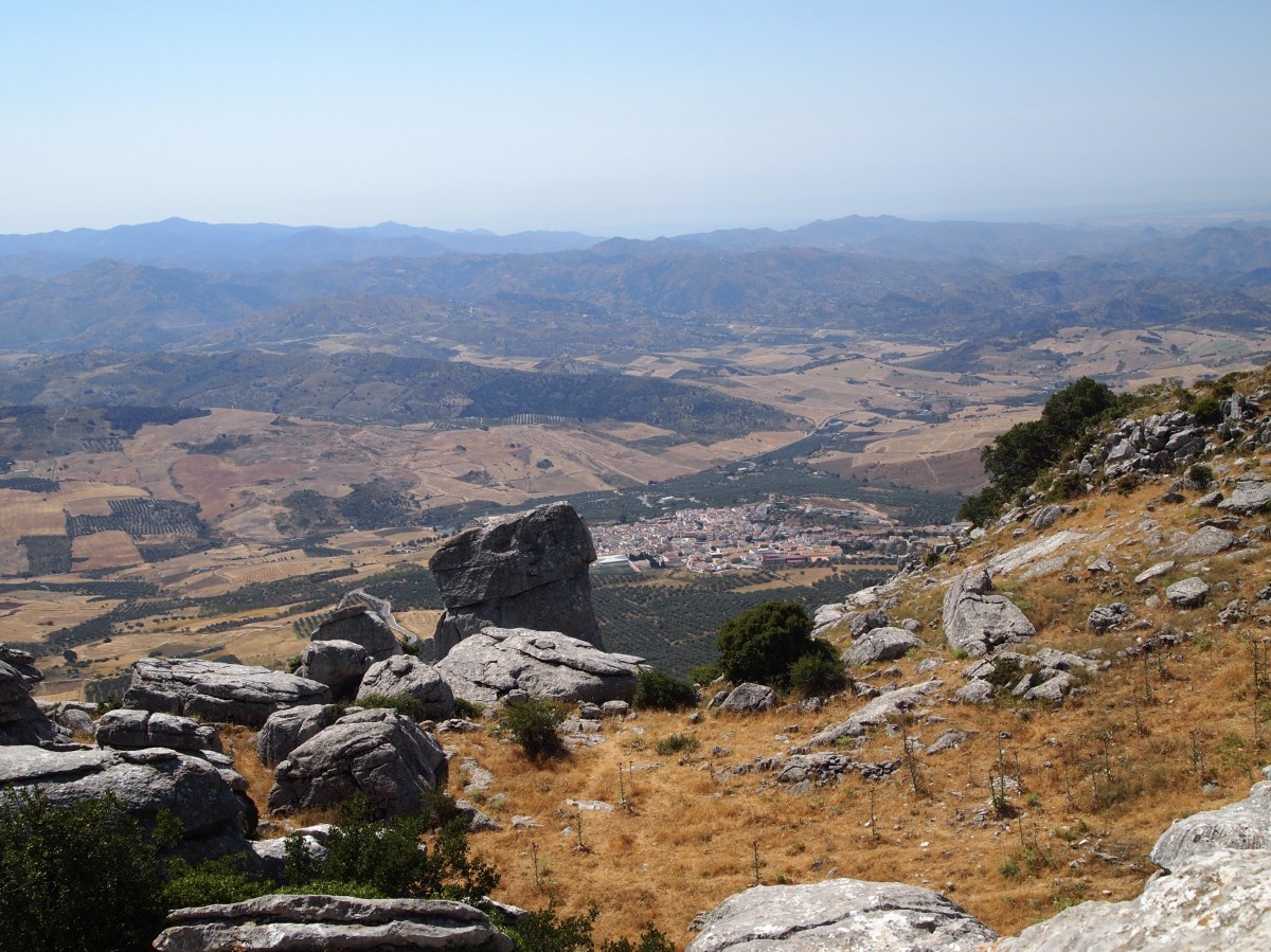 fullsizeoutput_16177