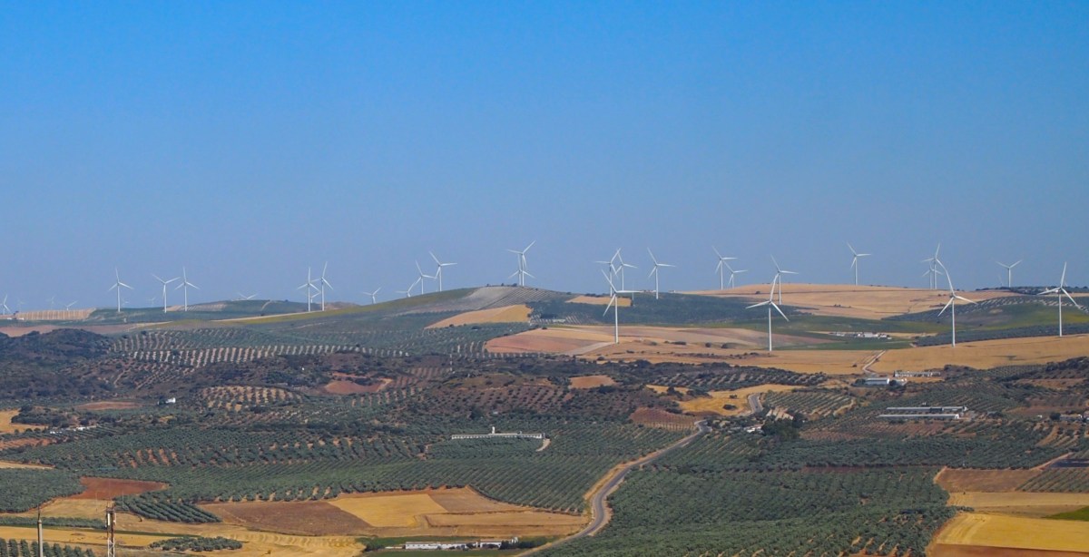 fullsizeoutput_1617e