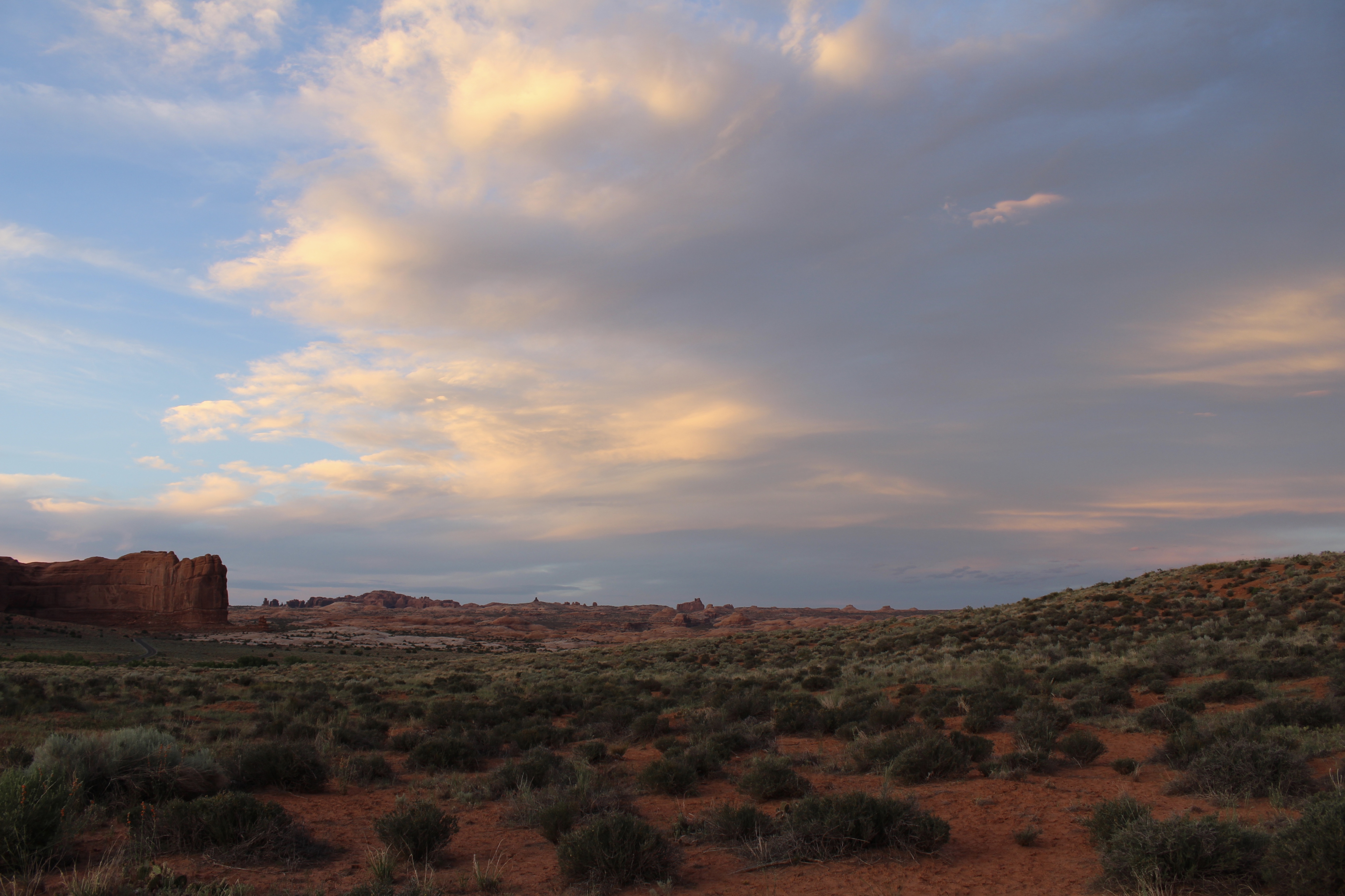 fullsizeoutput_15562