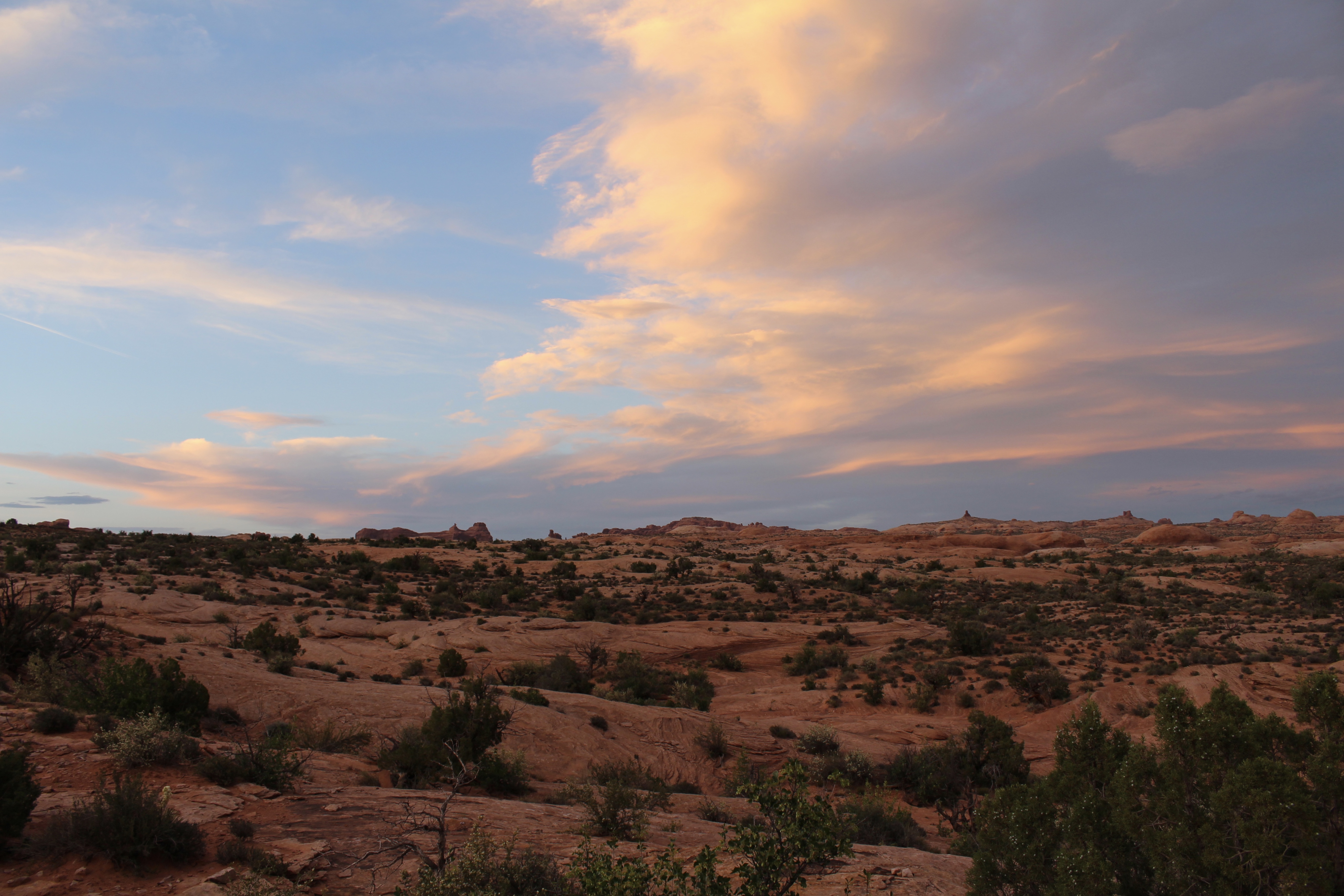 fullsizeoutput_15566