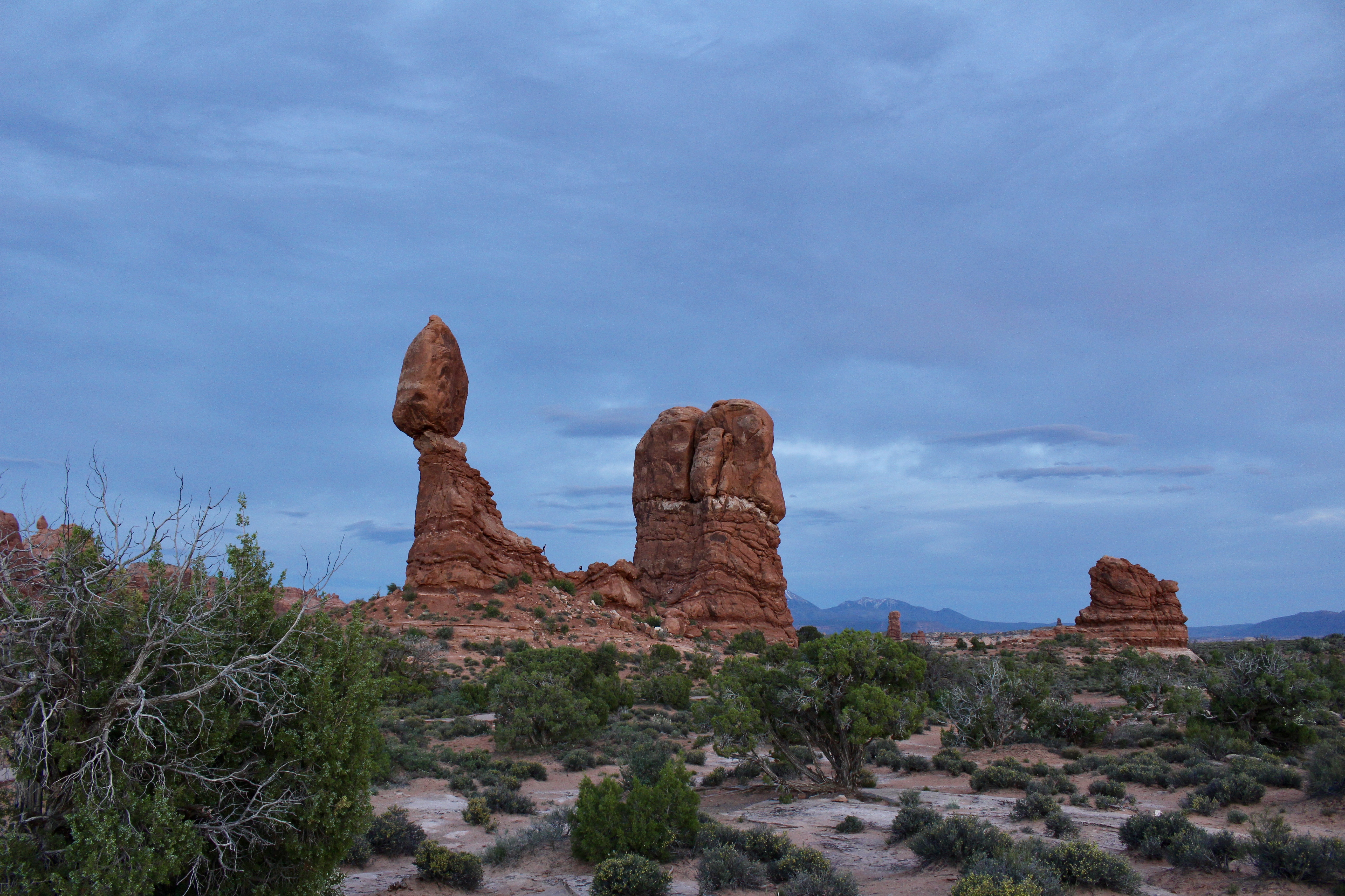 fullsizeoutput_15571