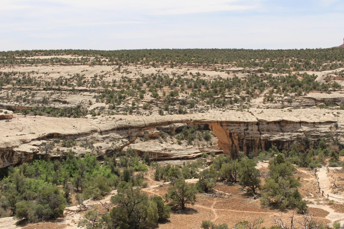 fullsizeoutput_156c4