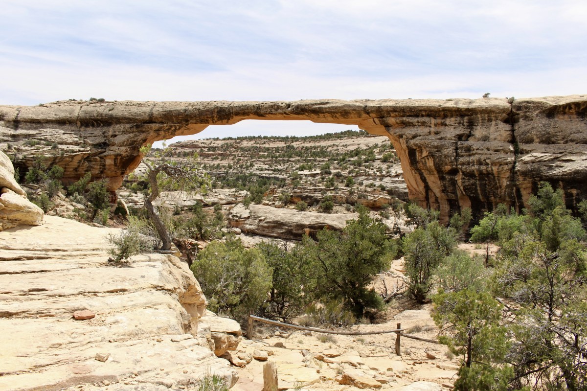 fullsizeoutput_156c8