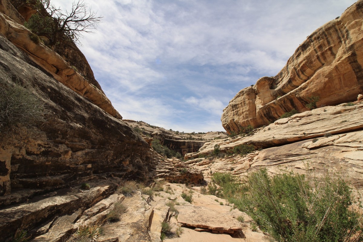 fullsizeoutput_156d6