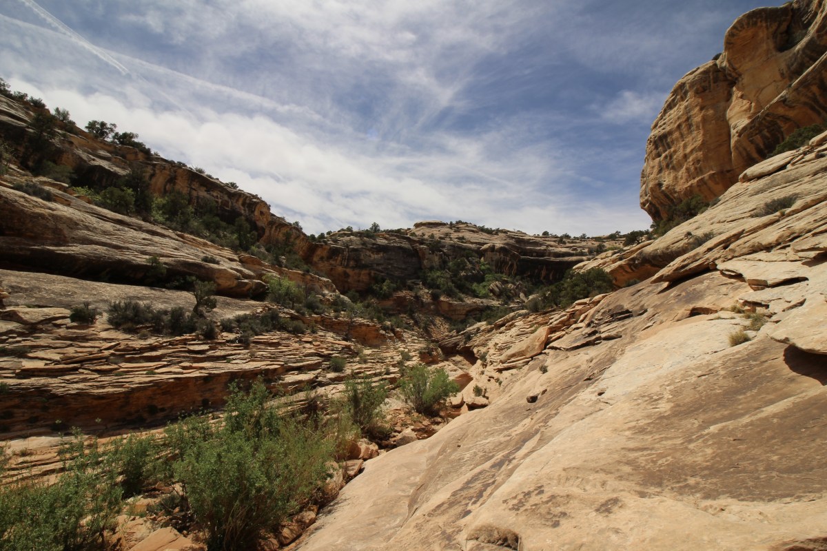 fullsizeoutput_156d8