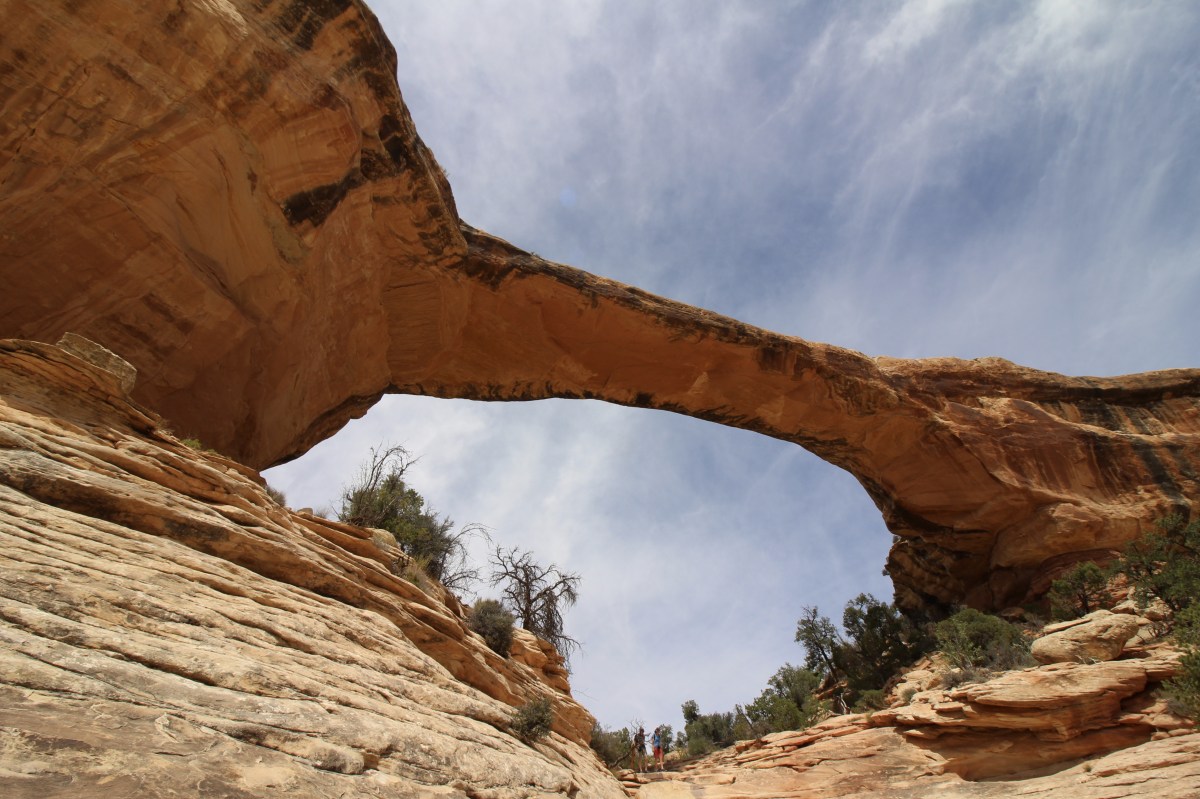 fullsizeoutput_156db