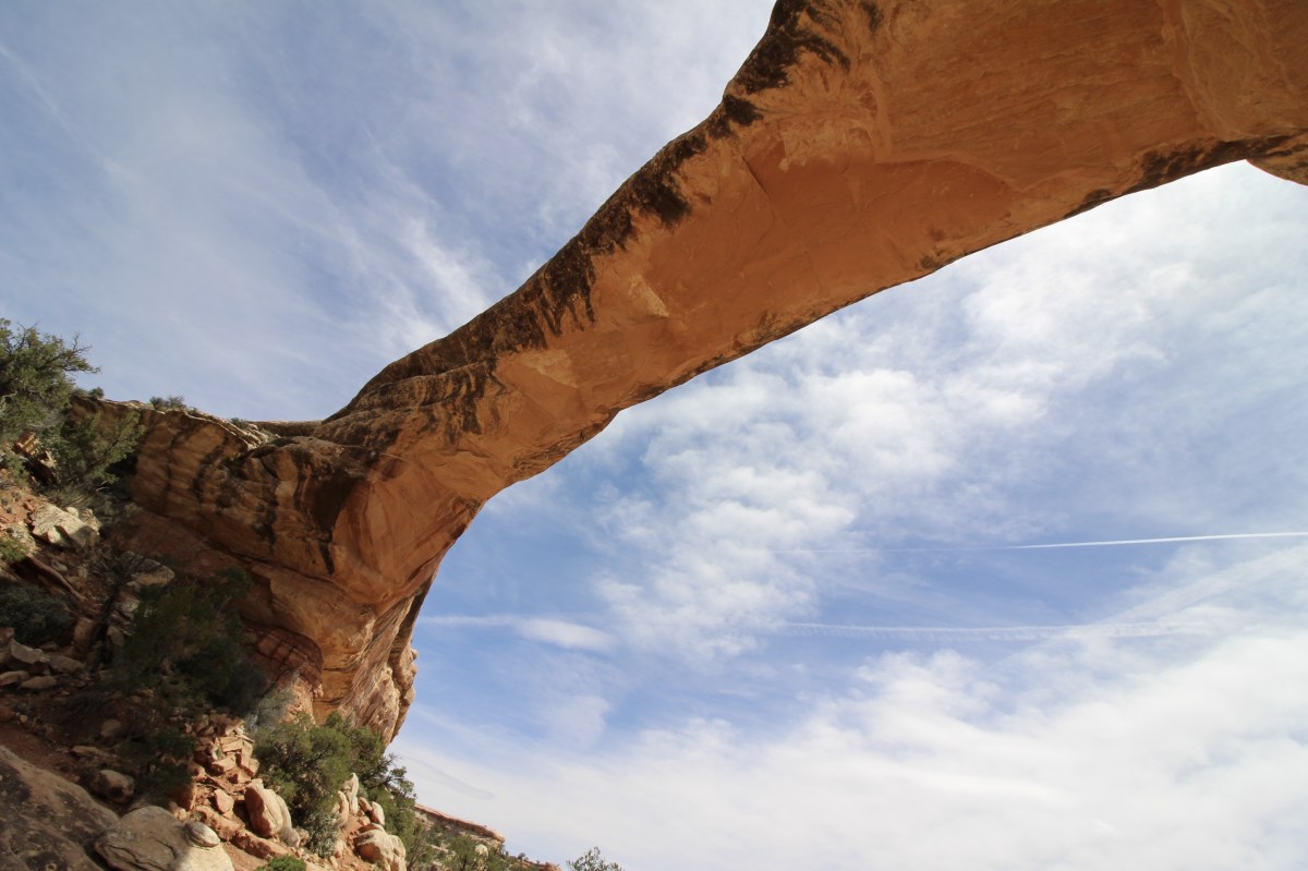 fullsizeoutput_156dc