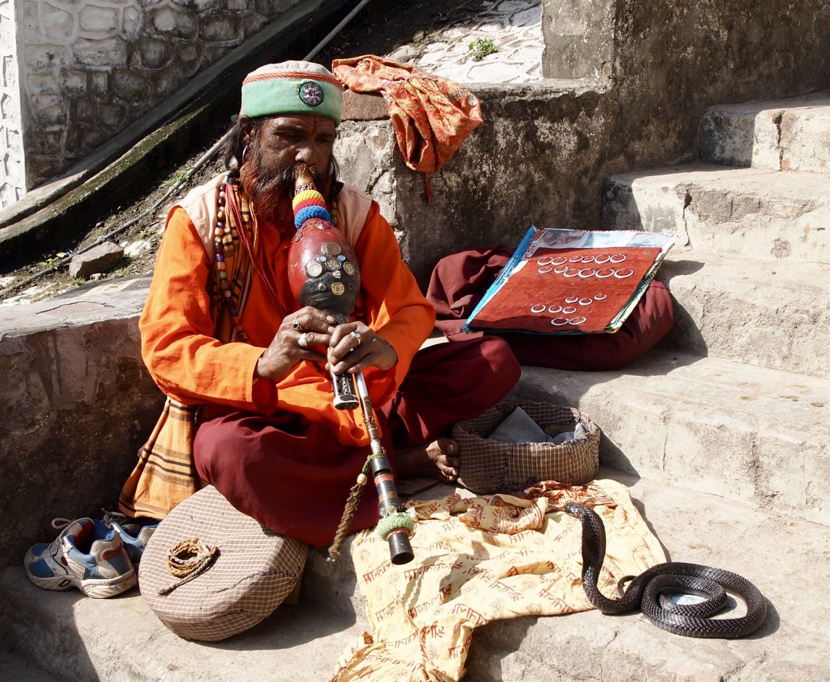 fullsizeoutput_15c02