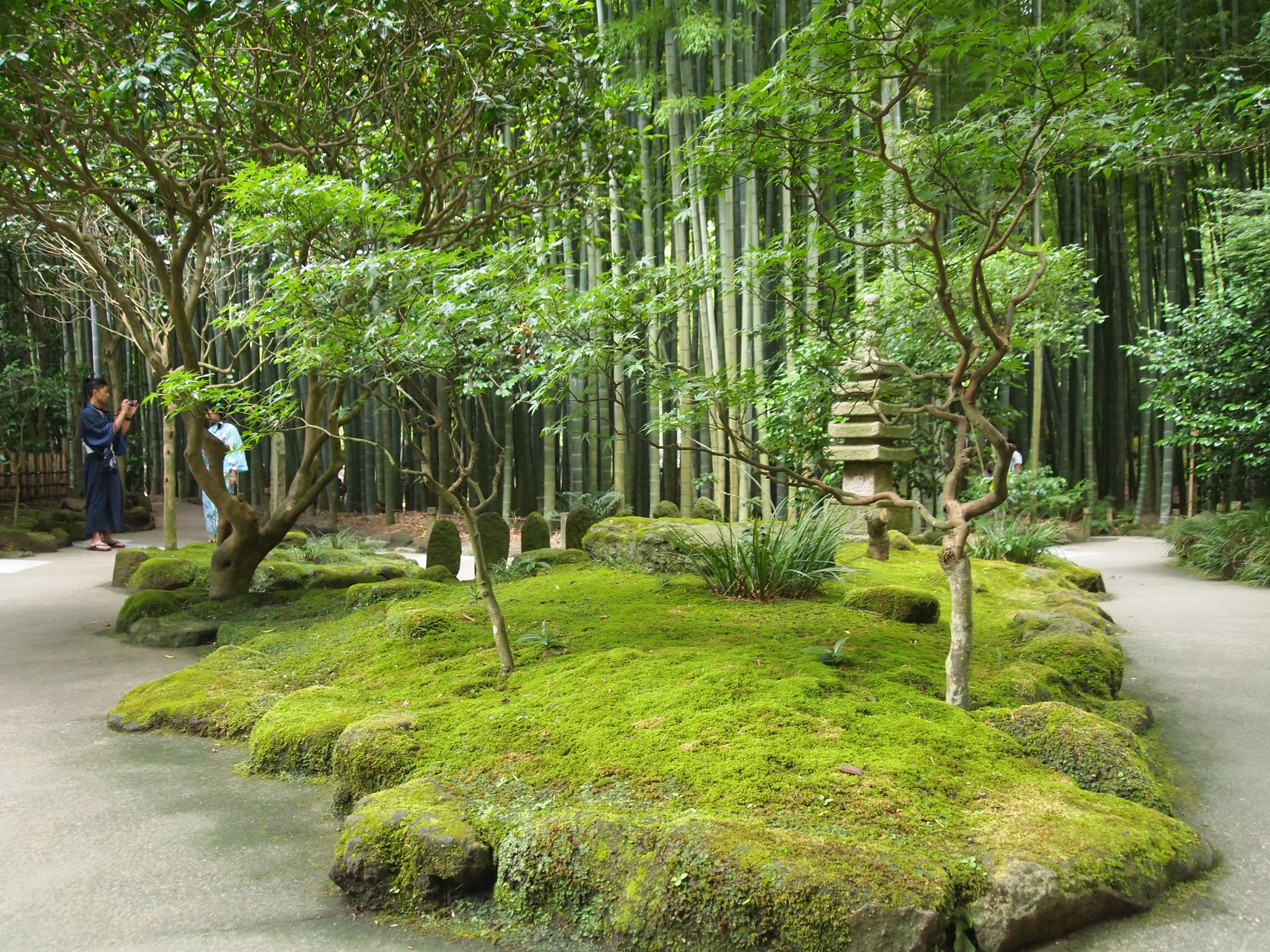 fullsizeoutput_10ea4