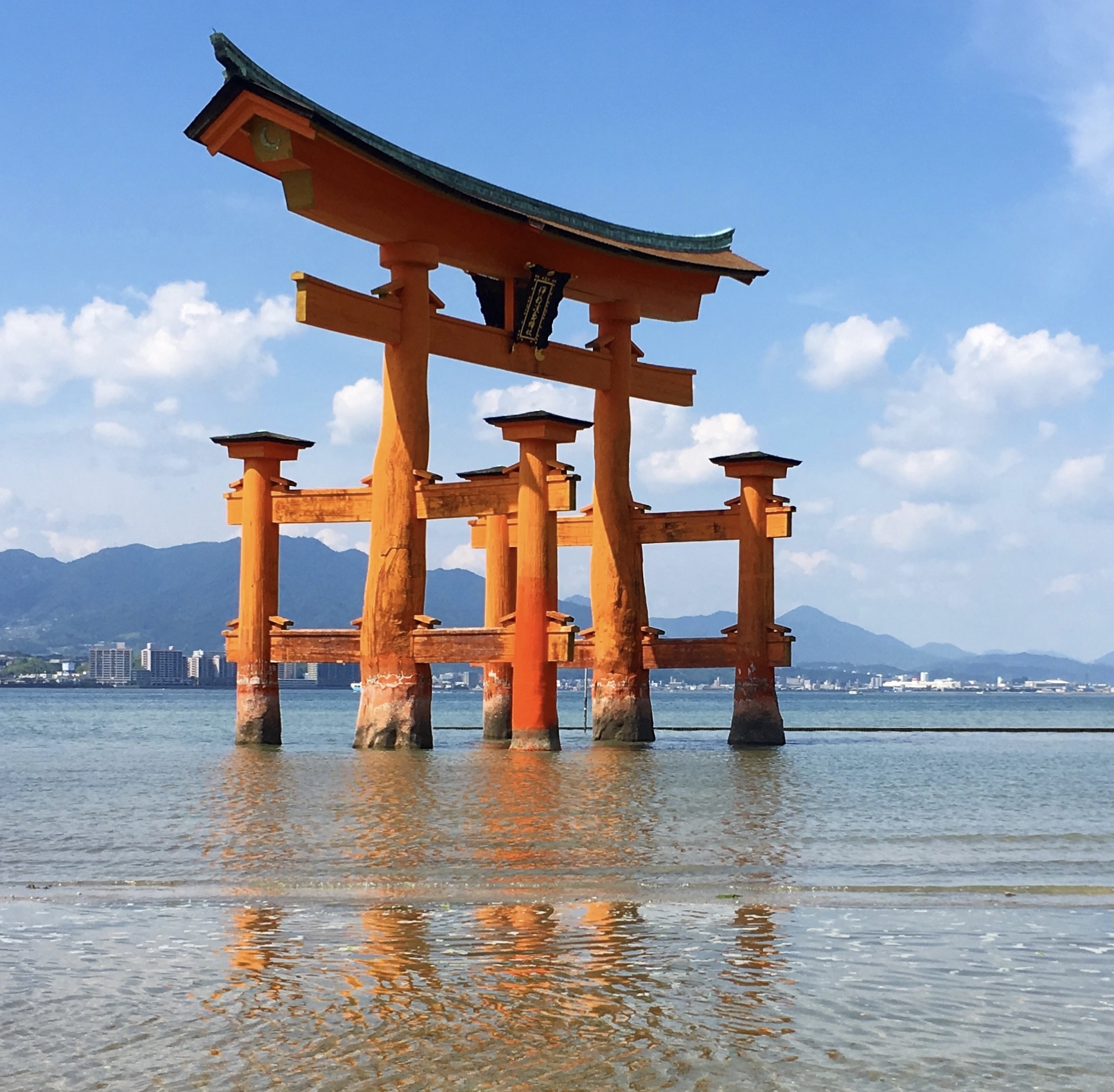 fullsizeoutput_14269