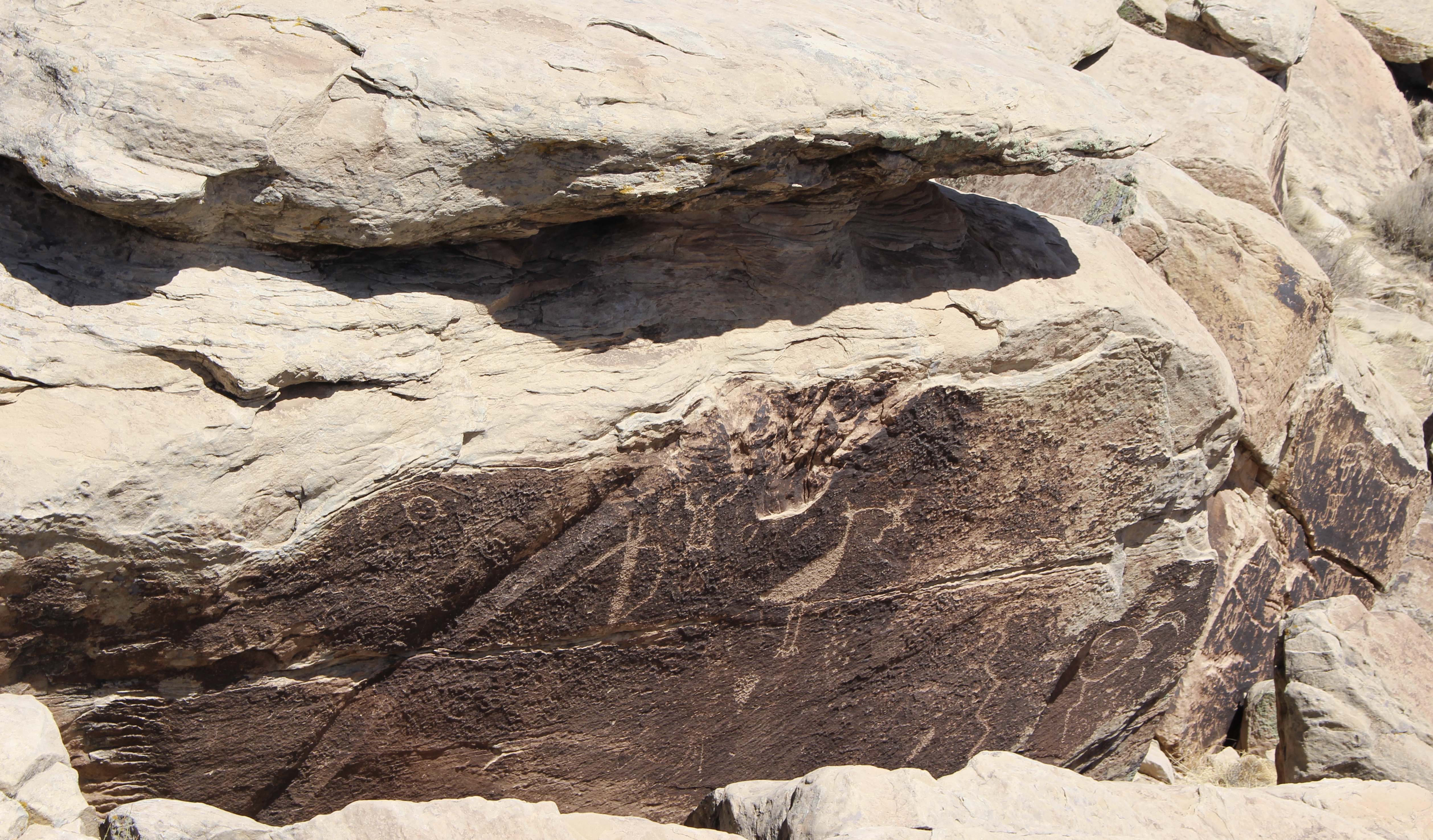 fullsizeoutput_150c6