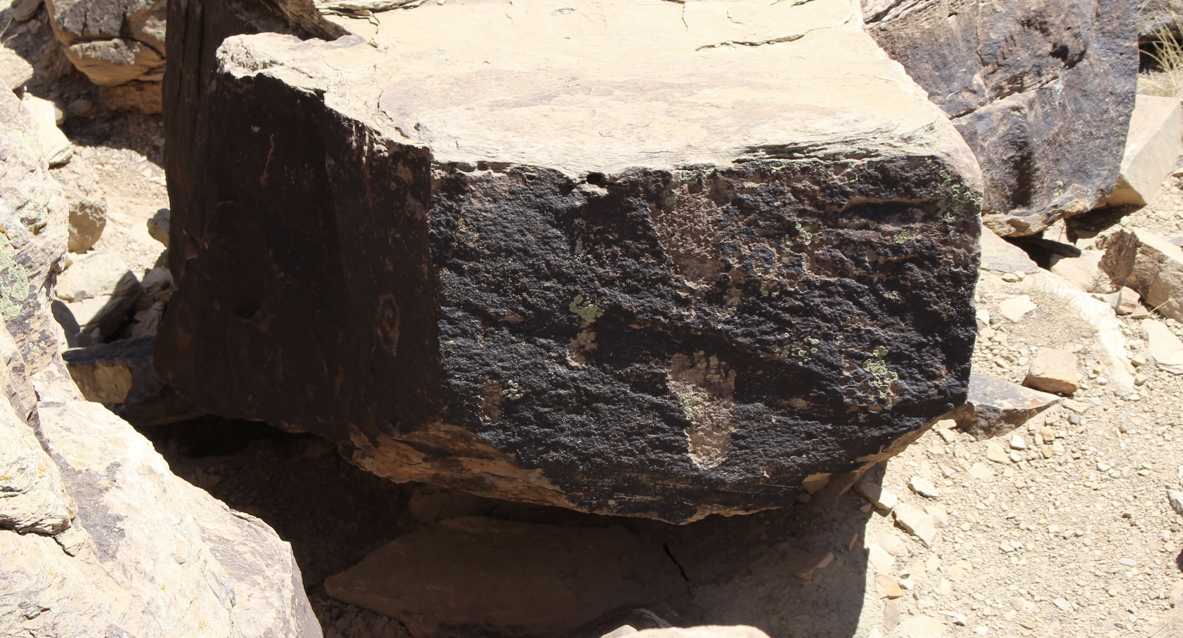 fullsizeoutput_150c8