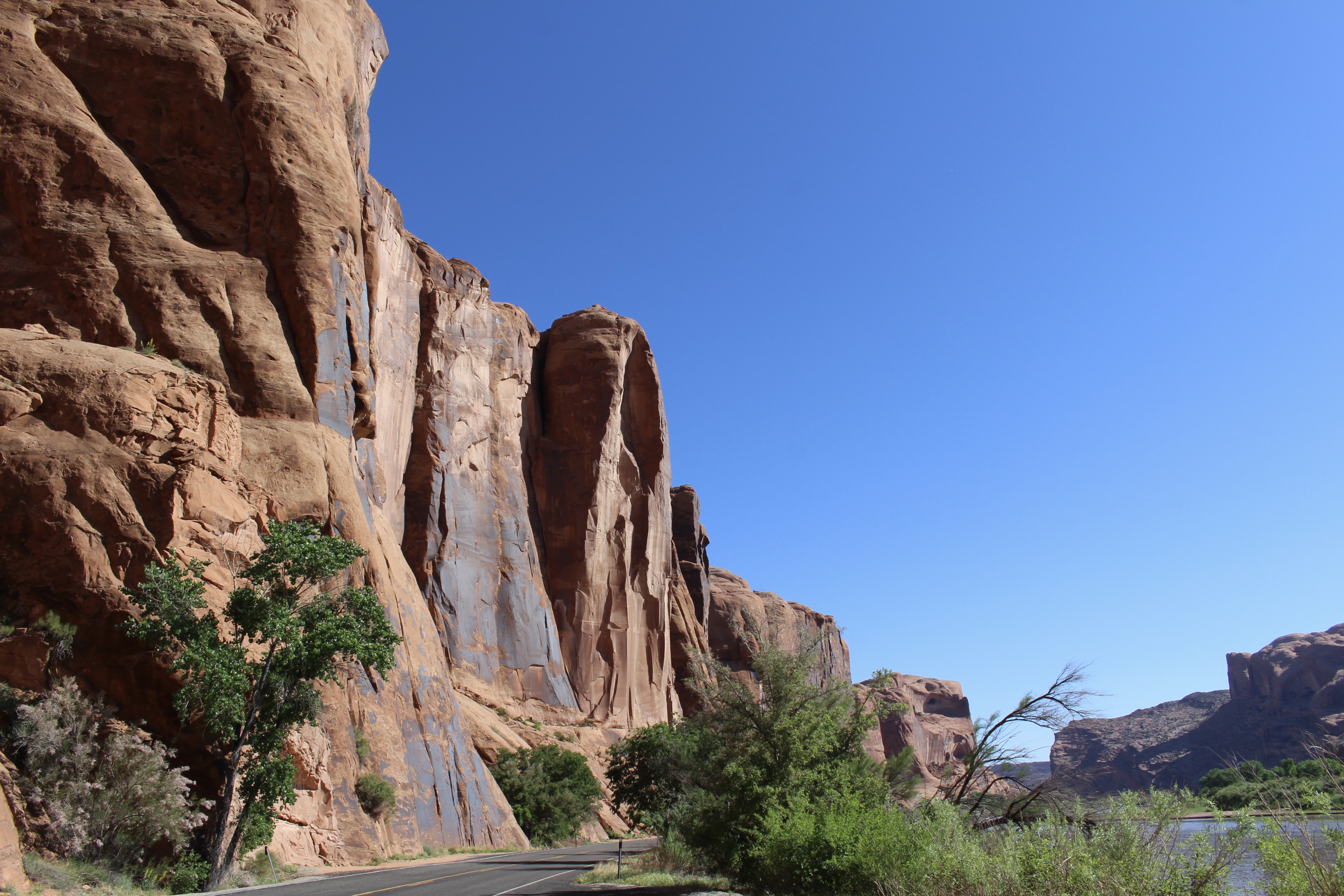 fullsizeoutput_1558a