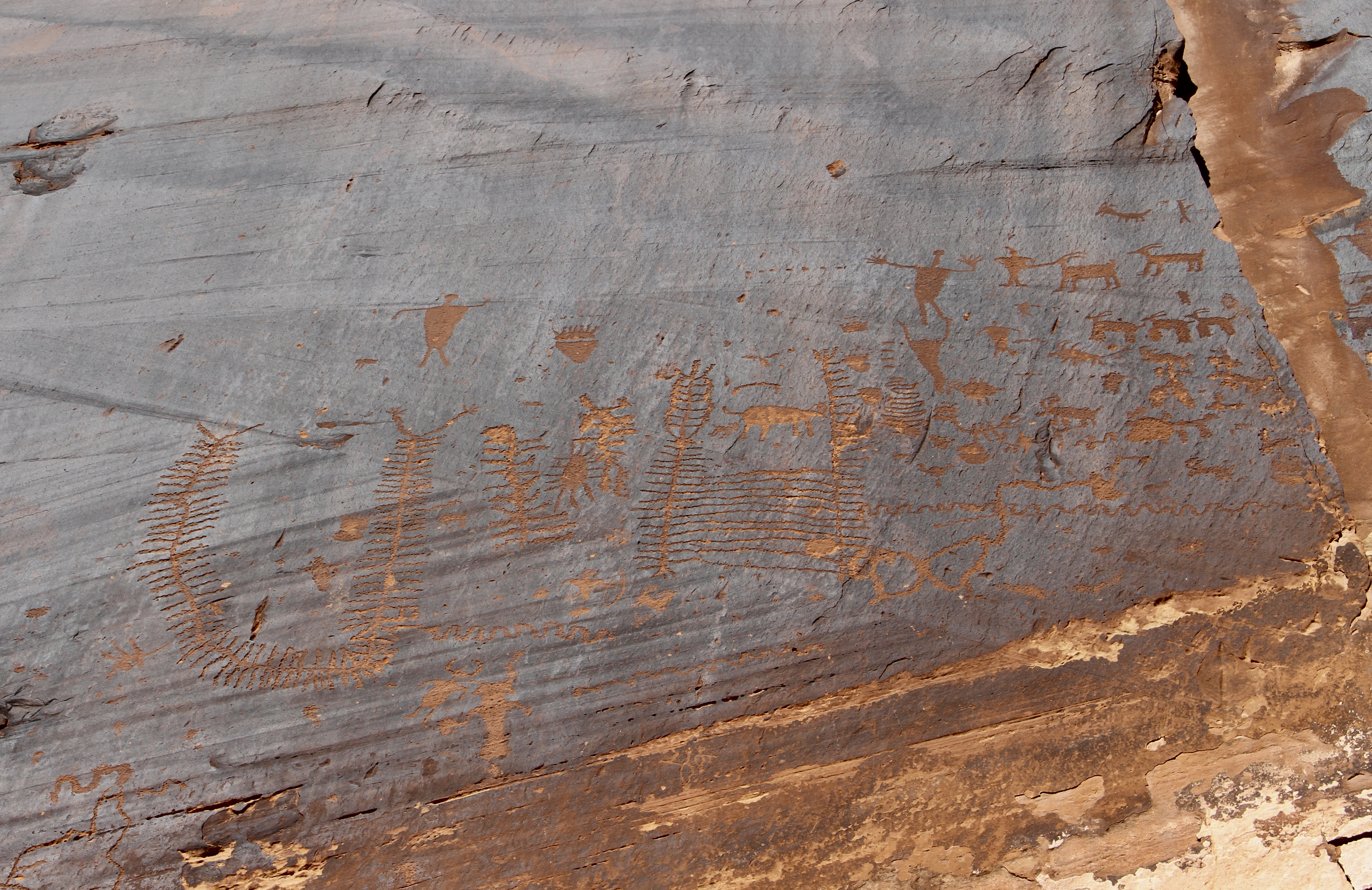 fullsizeoutput_1558b