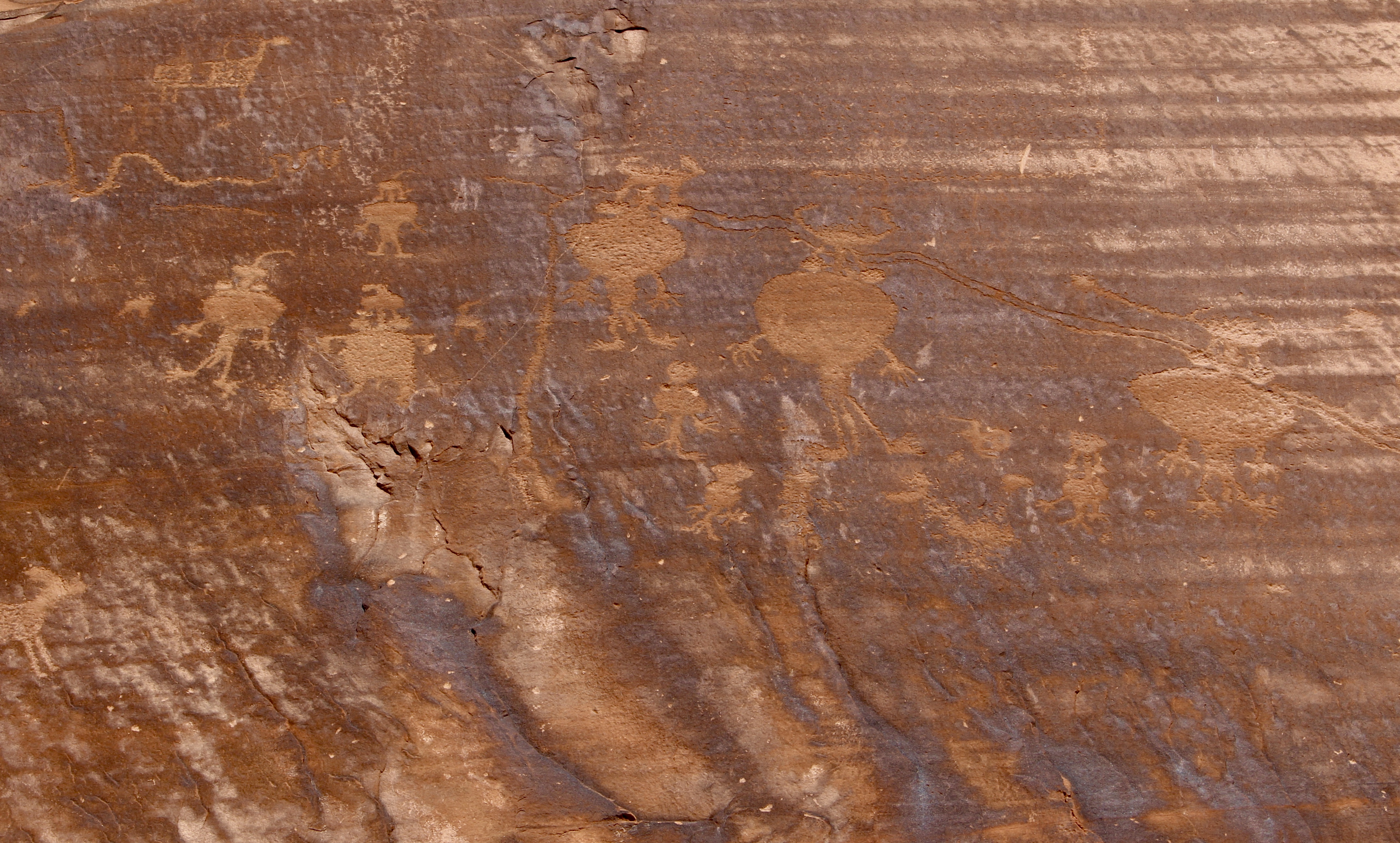 fullsizeoutput_1558d