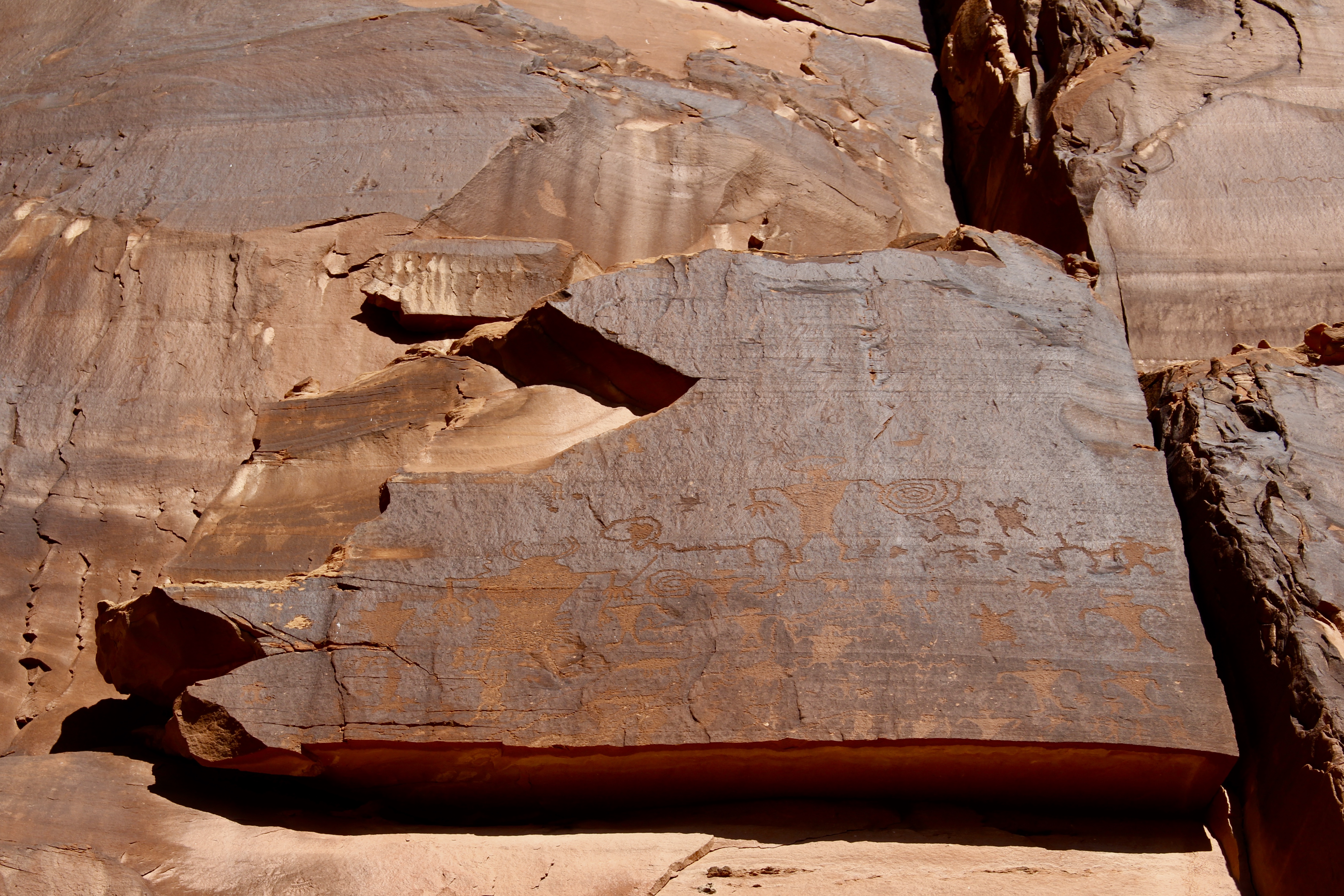 fullsizeoutput_15590