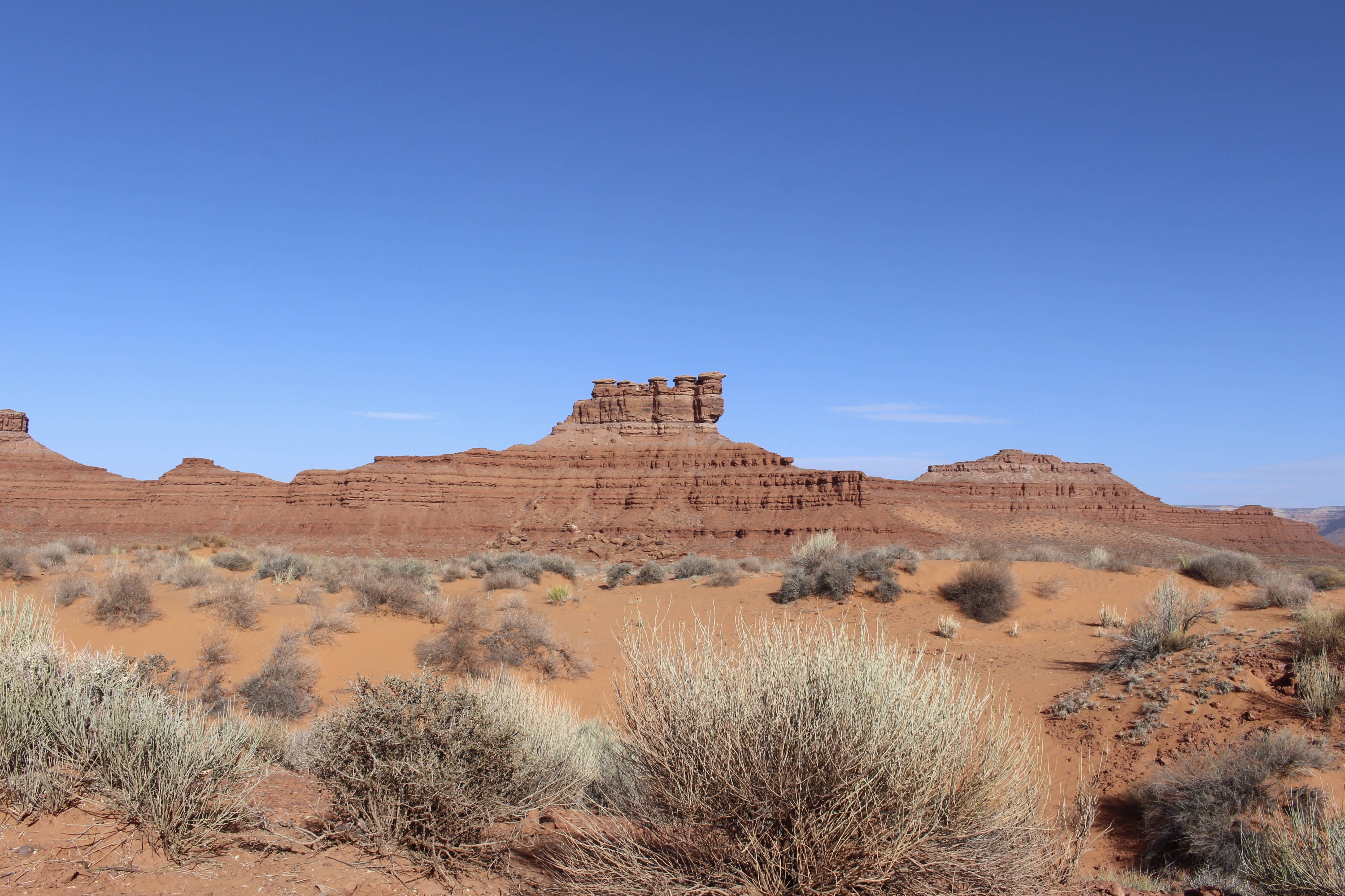 fullsizeoutput_157d5