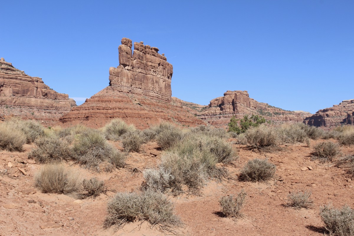 fullsizeoutput_157fc