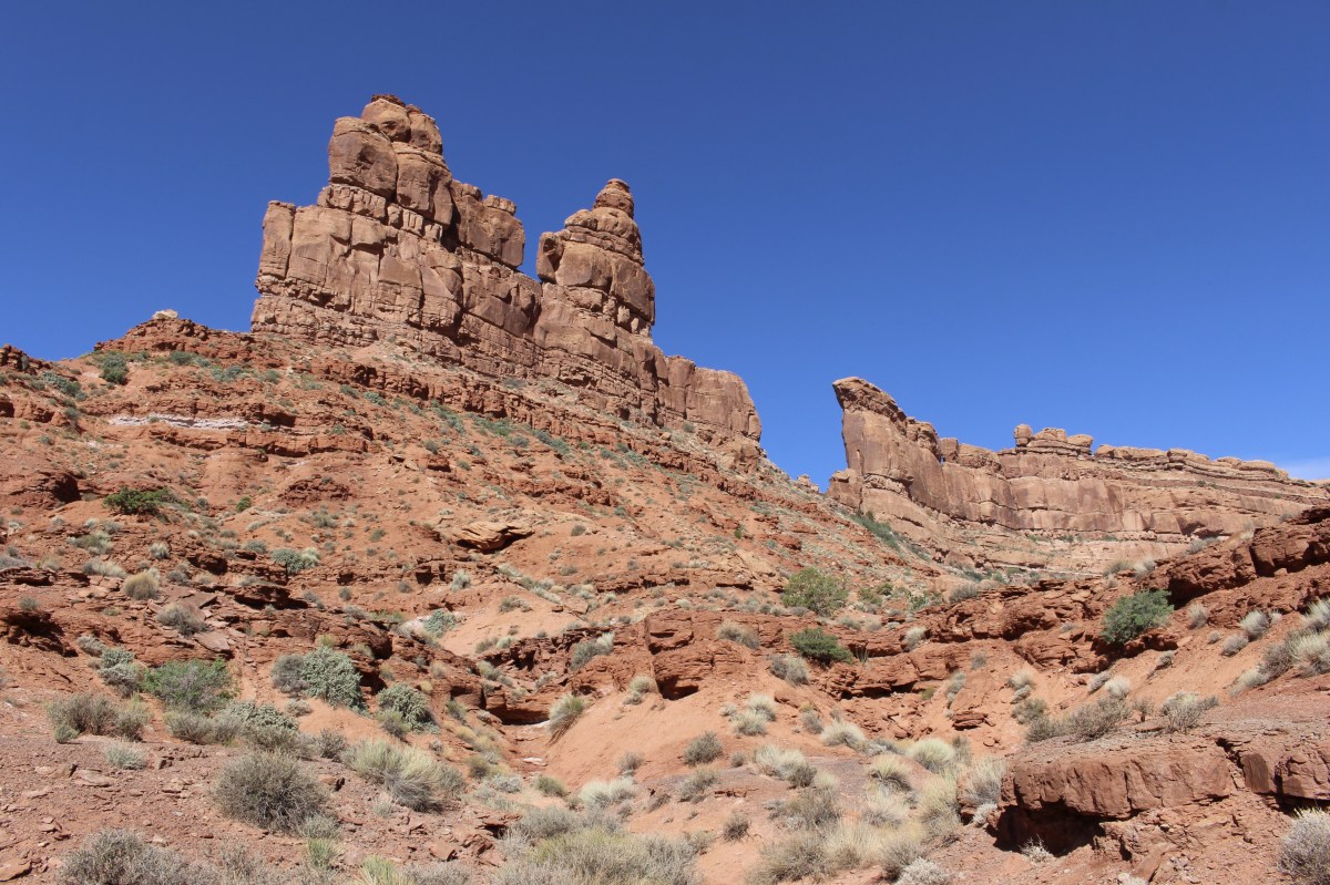 fullsizeoutput_15806