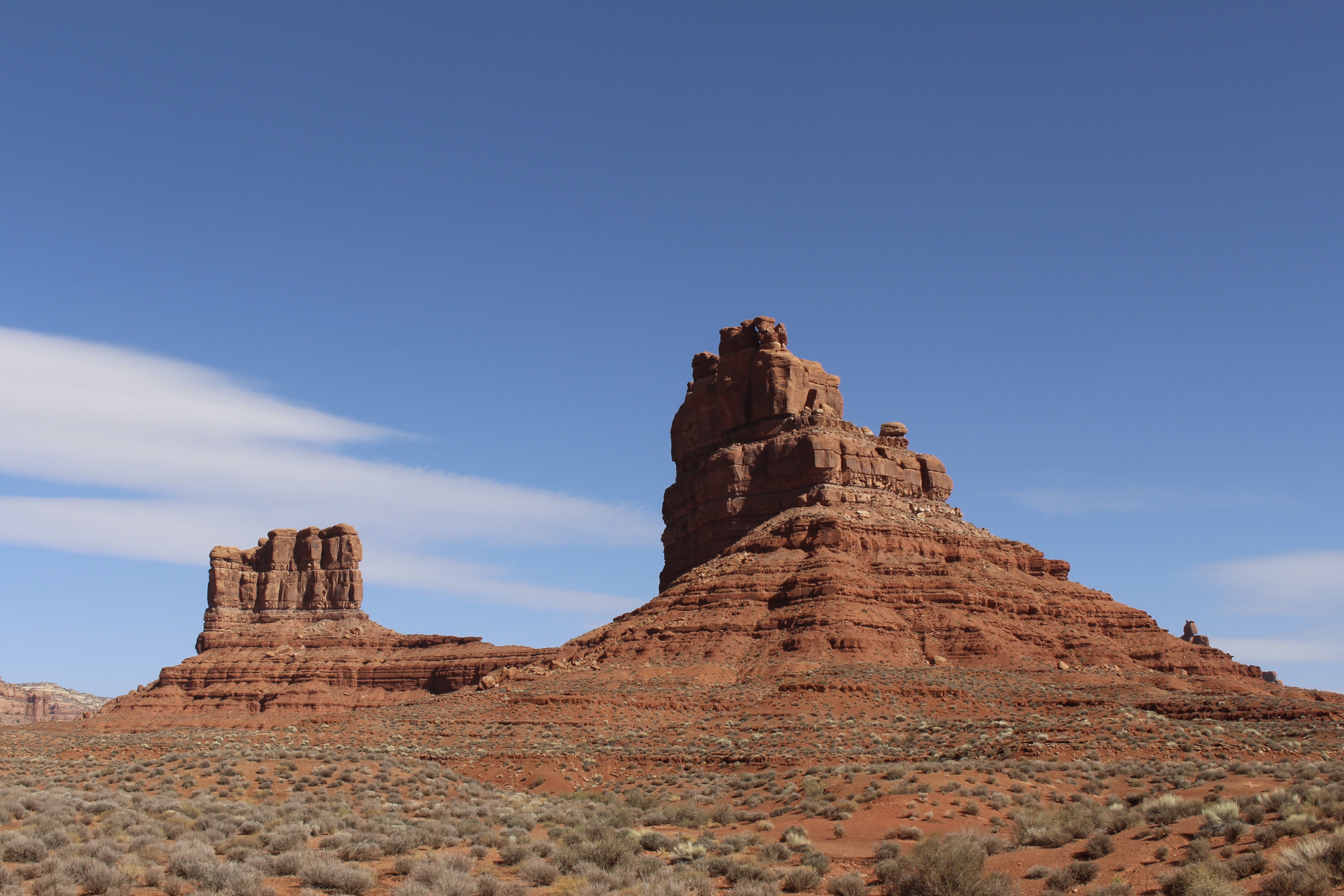 fullsizeoutput_15808