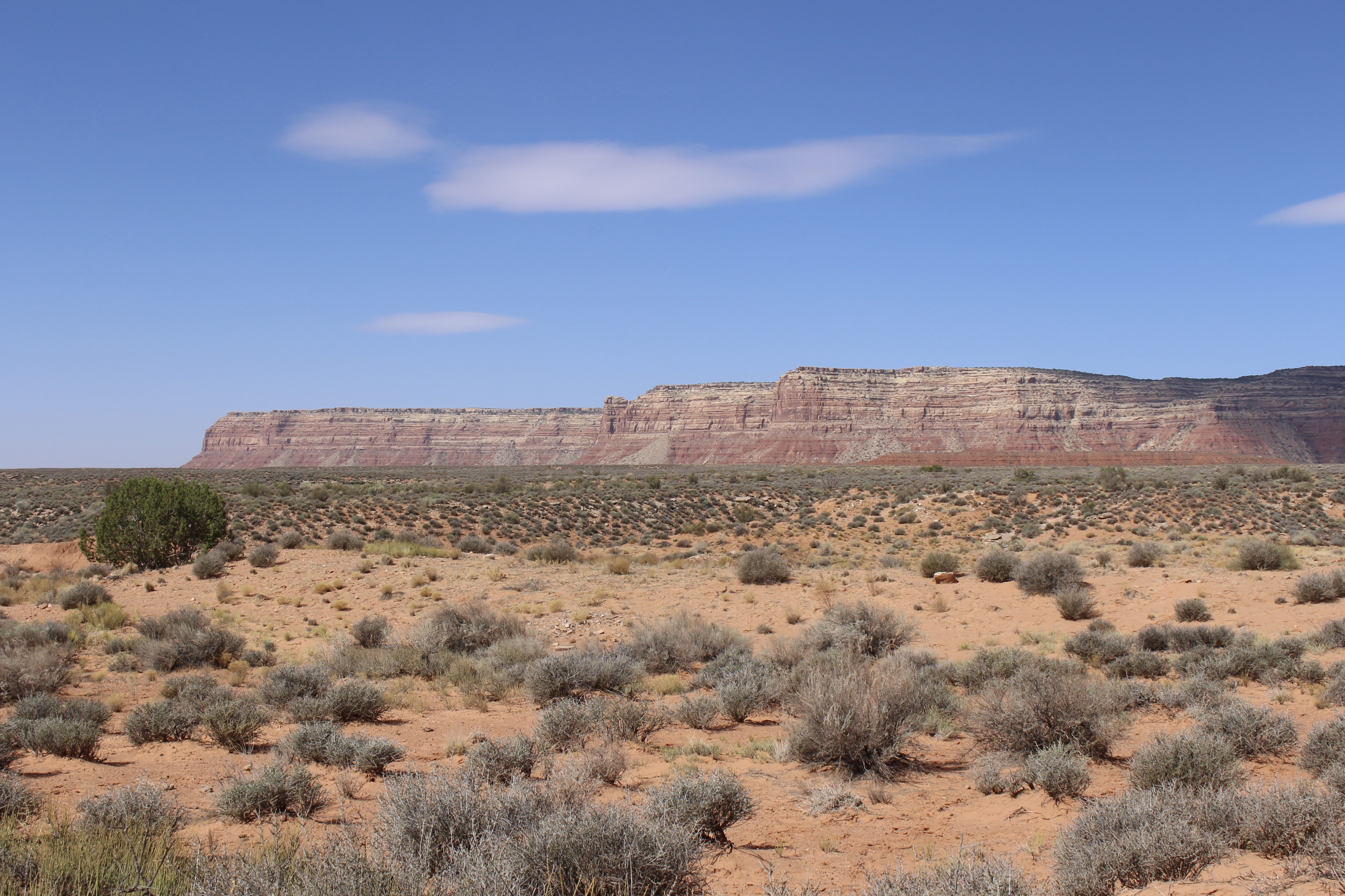 fullsizeoutput_15815