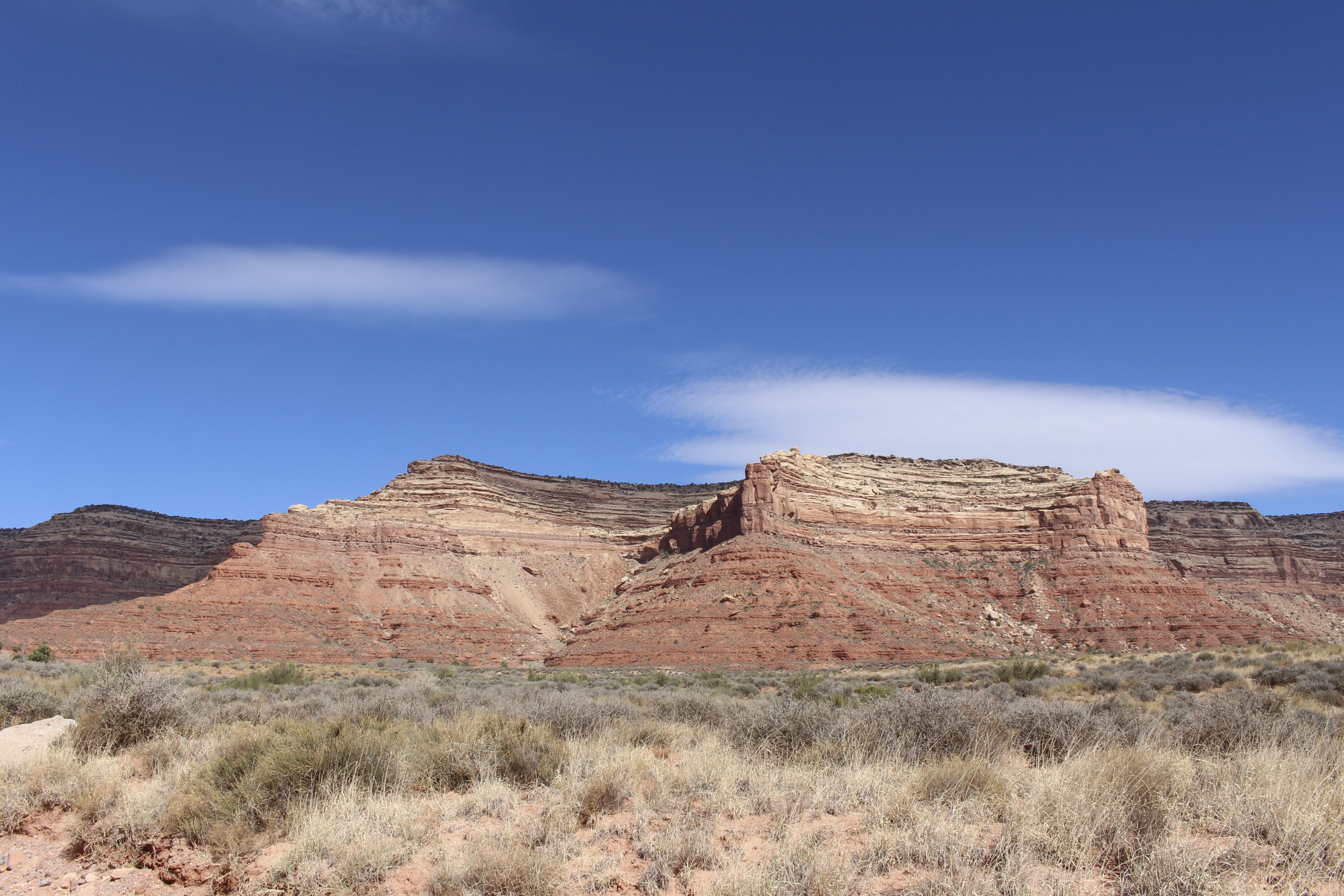 fullsizeoutput_15817