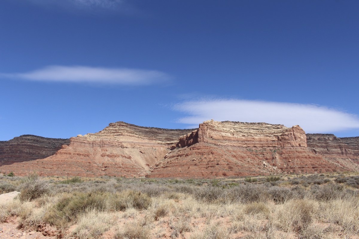 fullsizeoutput_15817