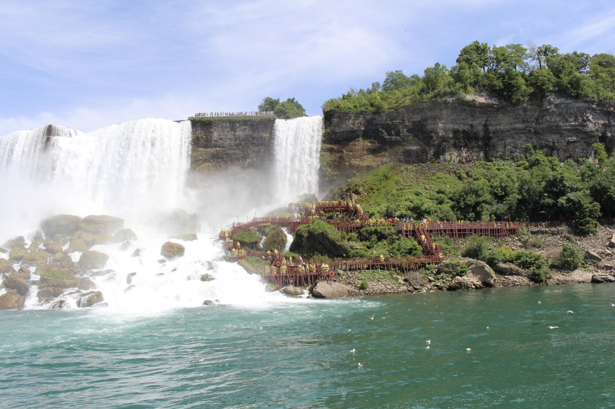 fullsizeoutput_15d47