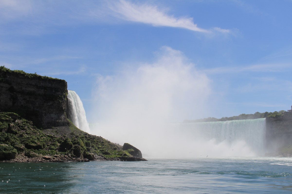 fullsizeoutput_15d4c