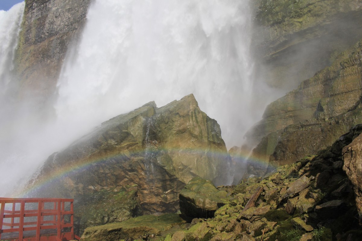 fullsizeoutput_15d95