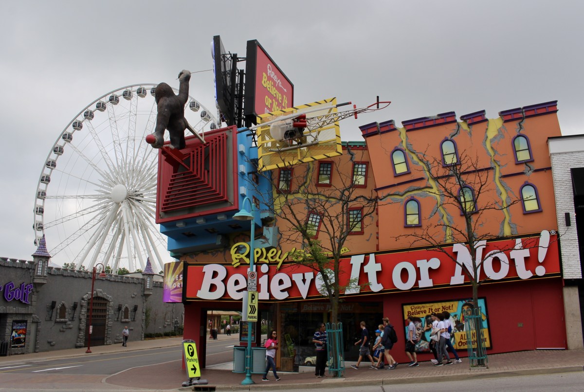 fullsizeoutput_15f01