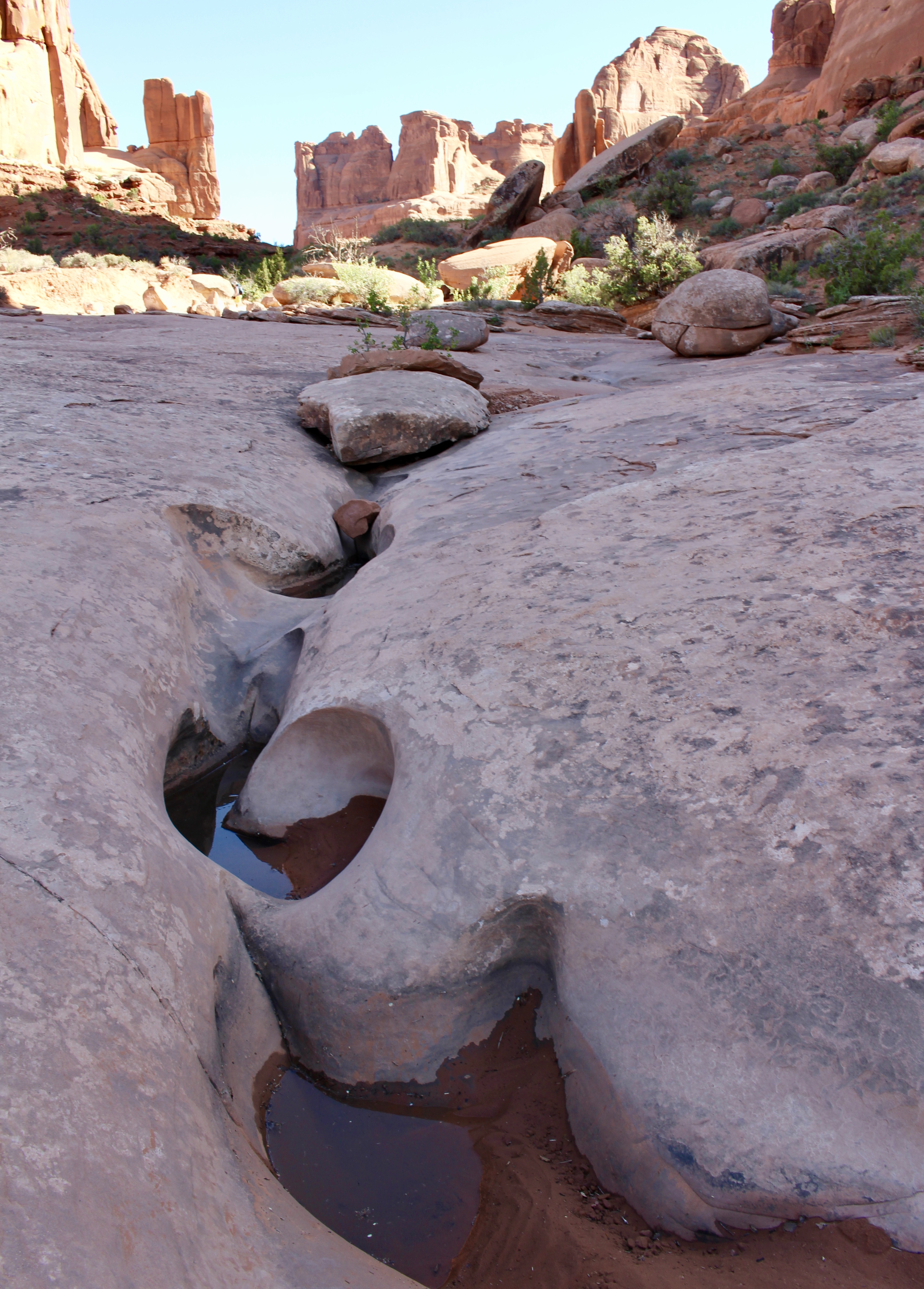 fullsizeoutput_14b1d