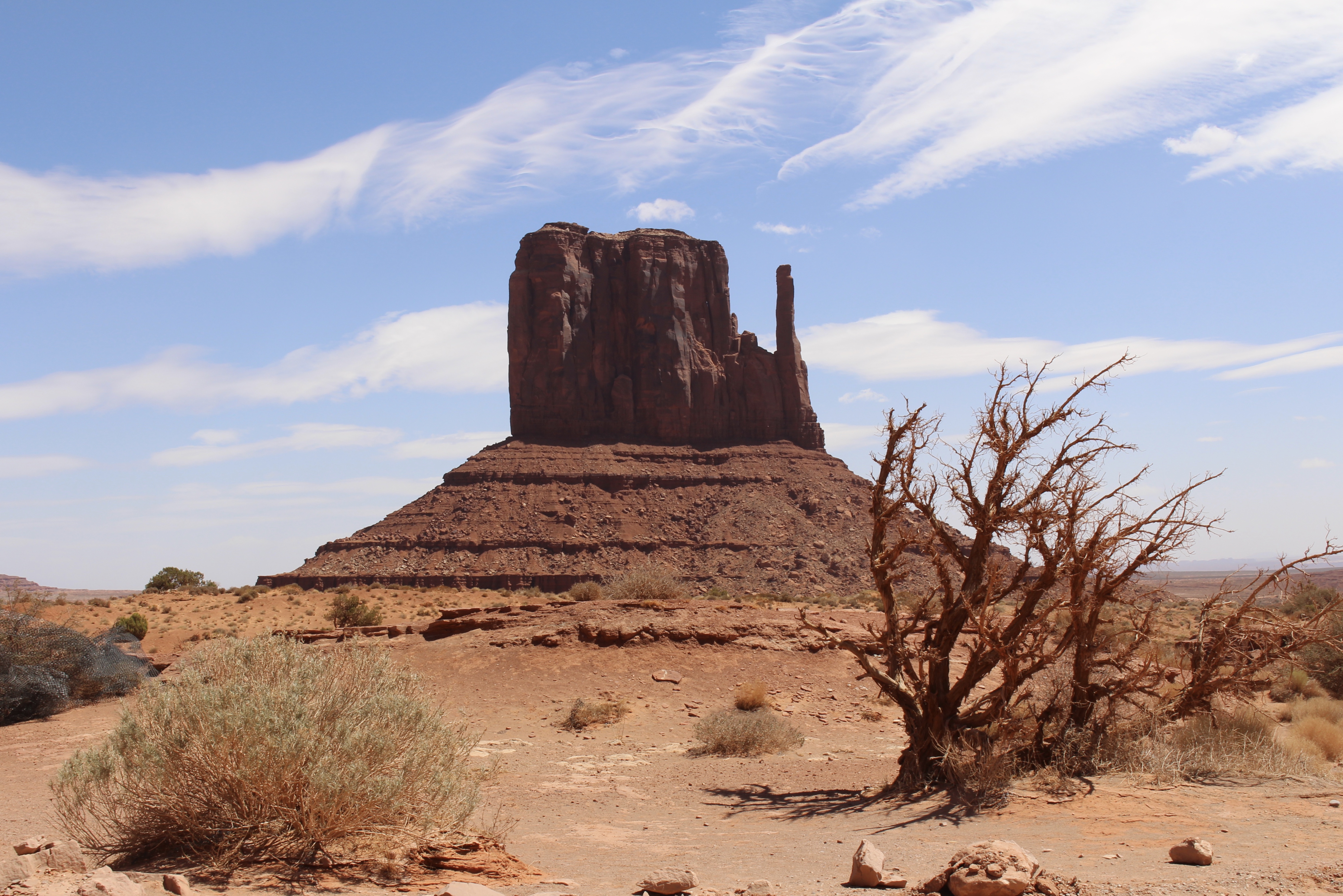 fullsizeoutput_14eaa